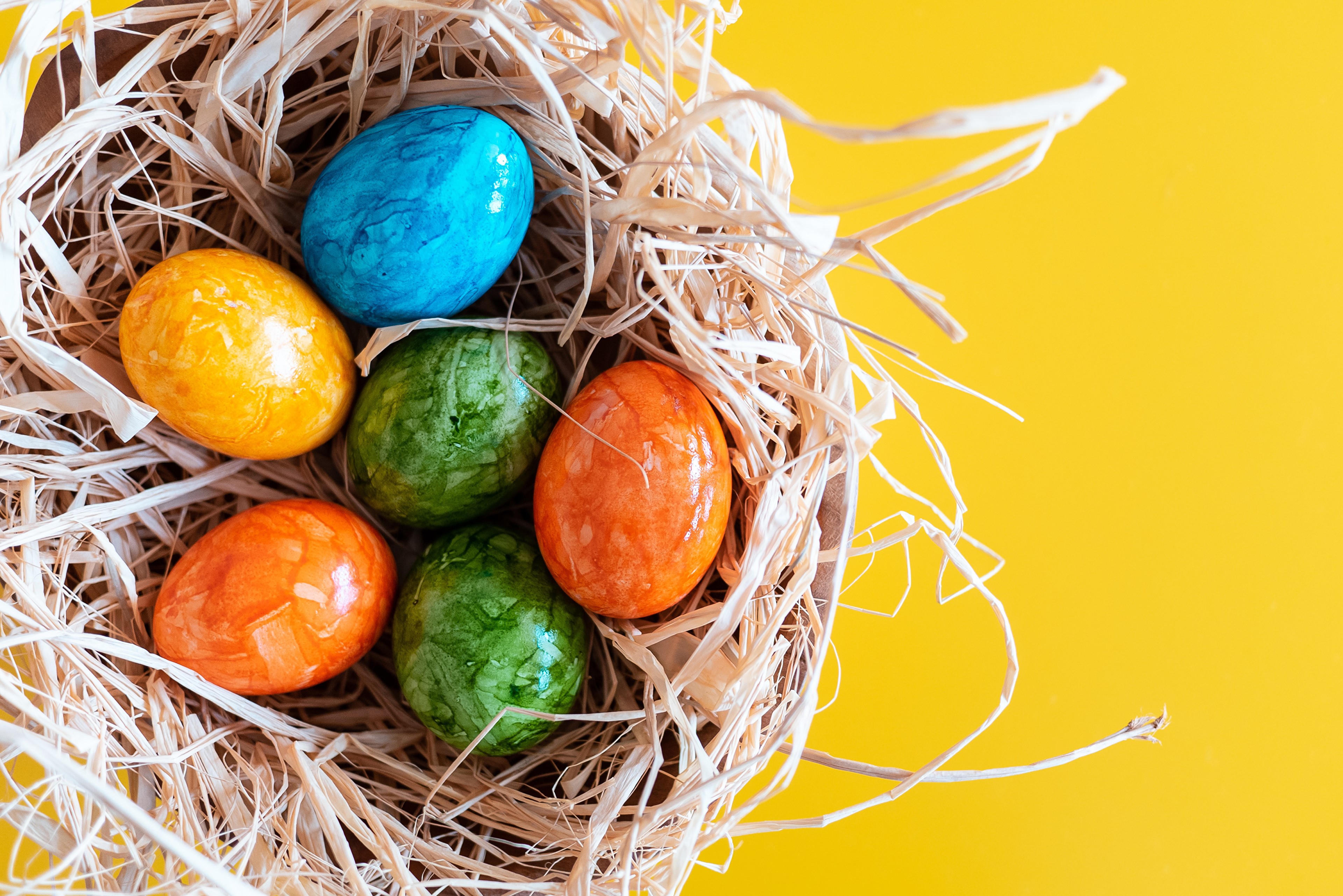 Easter Eggs in a Nest HD Wallpaper