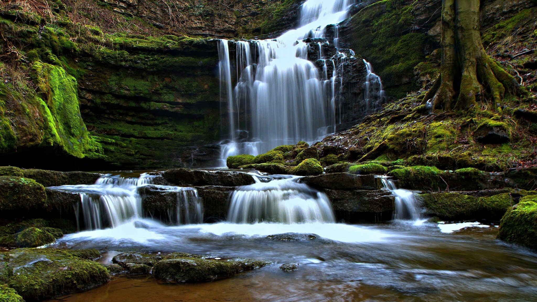 Mossy rocks and a cascading waterfall in a forest HD Wallpaper
