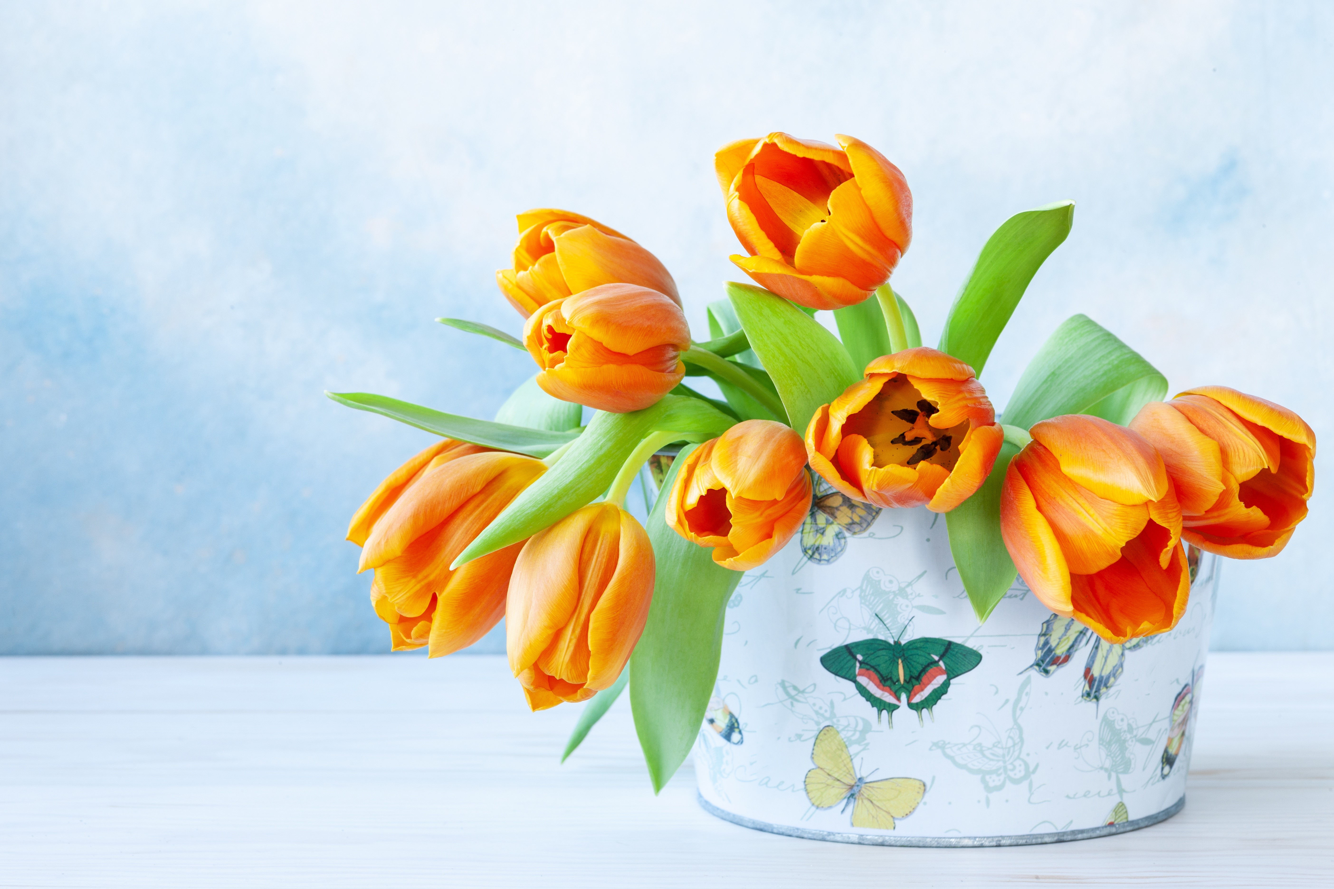 Orange Tulips in a Butterfly Decorated Box HD Wallpaper