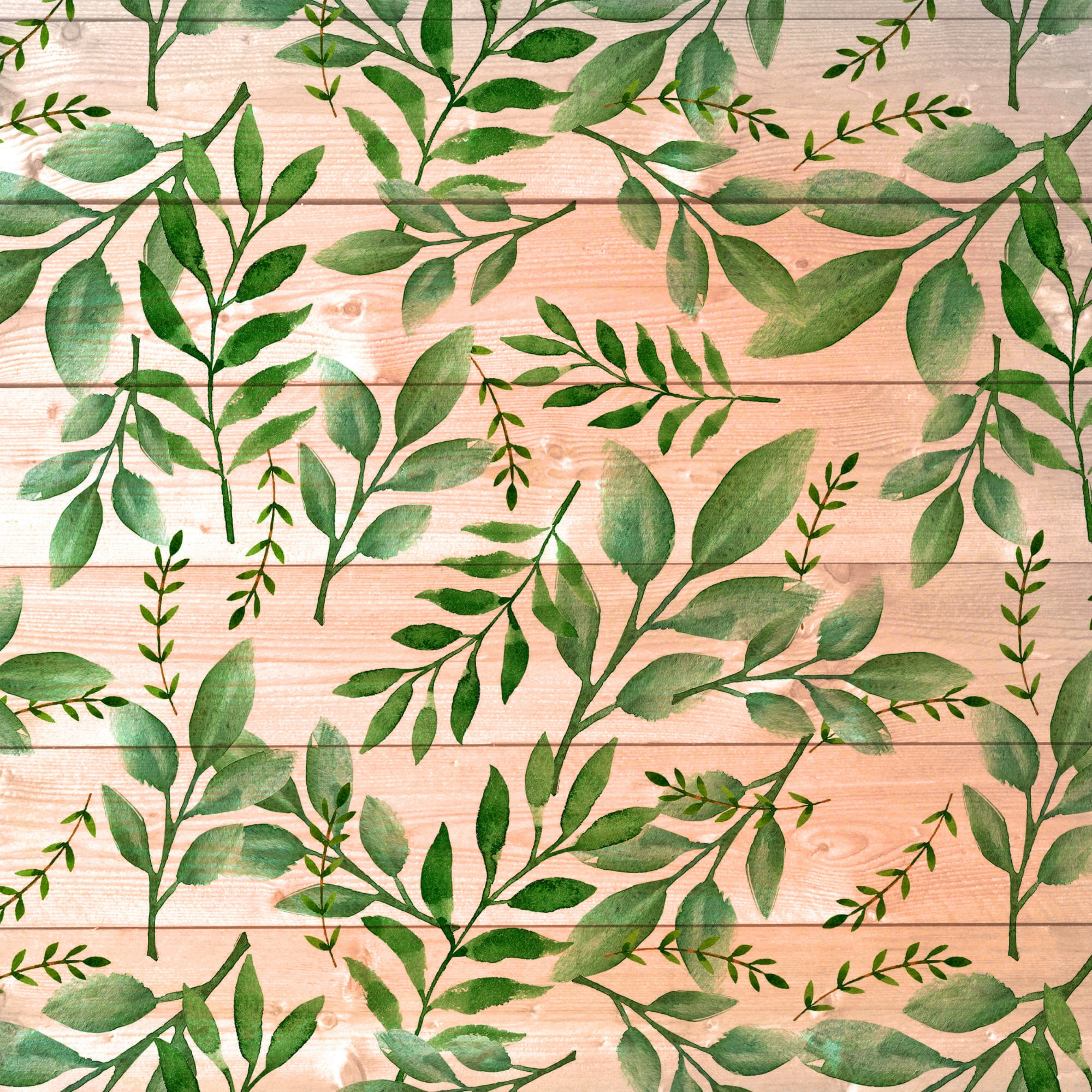 Green leaves on wood plank texture HD Wallpaper