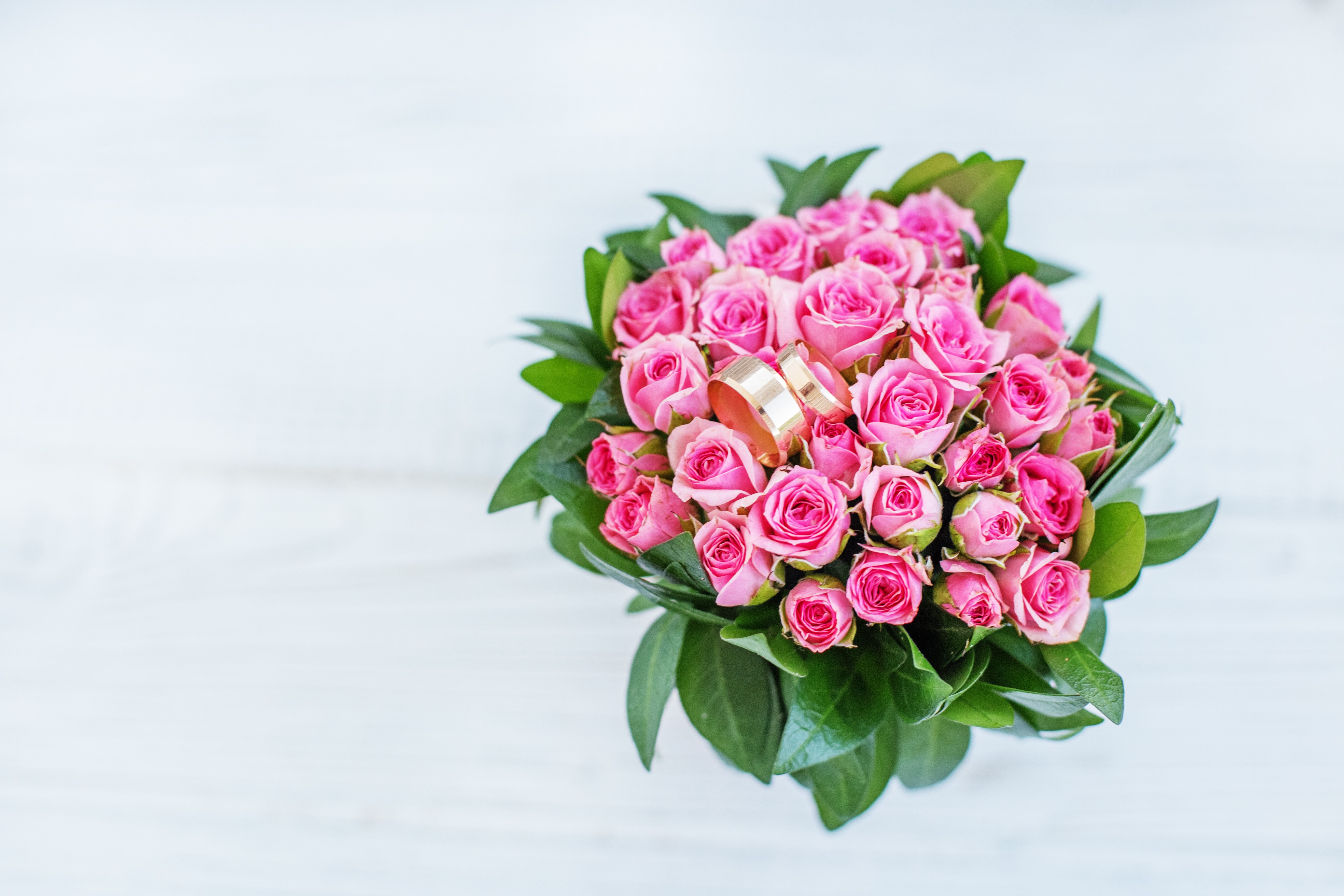 Pink Roses Bouquet with Wedding Rings HD Wallpaper