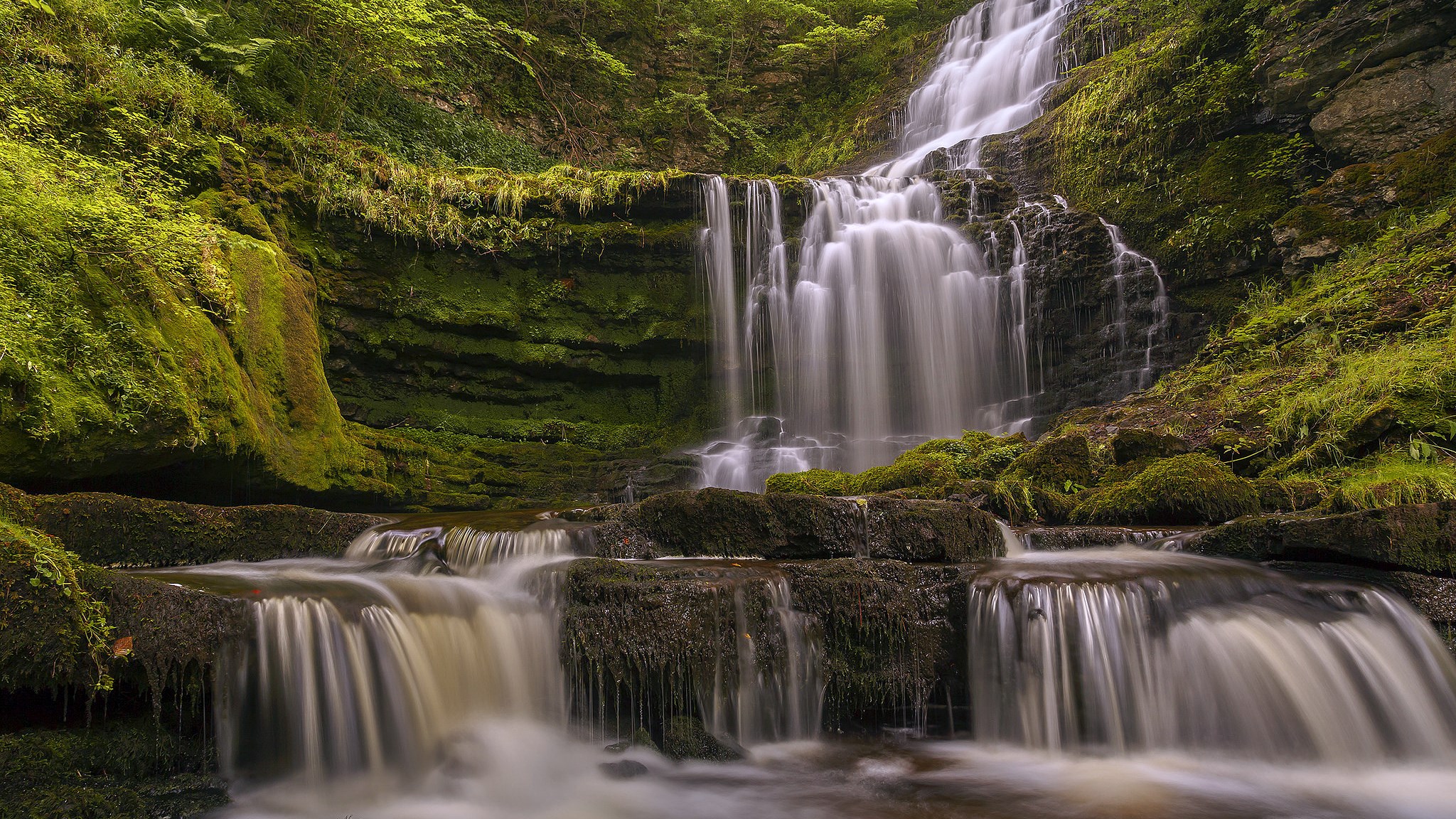 Mossy rocks and a cascading waterfall in a forest HD Wallpaper