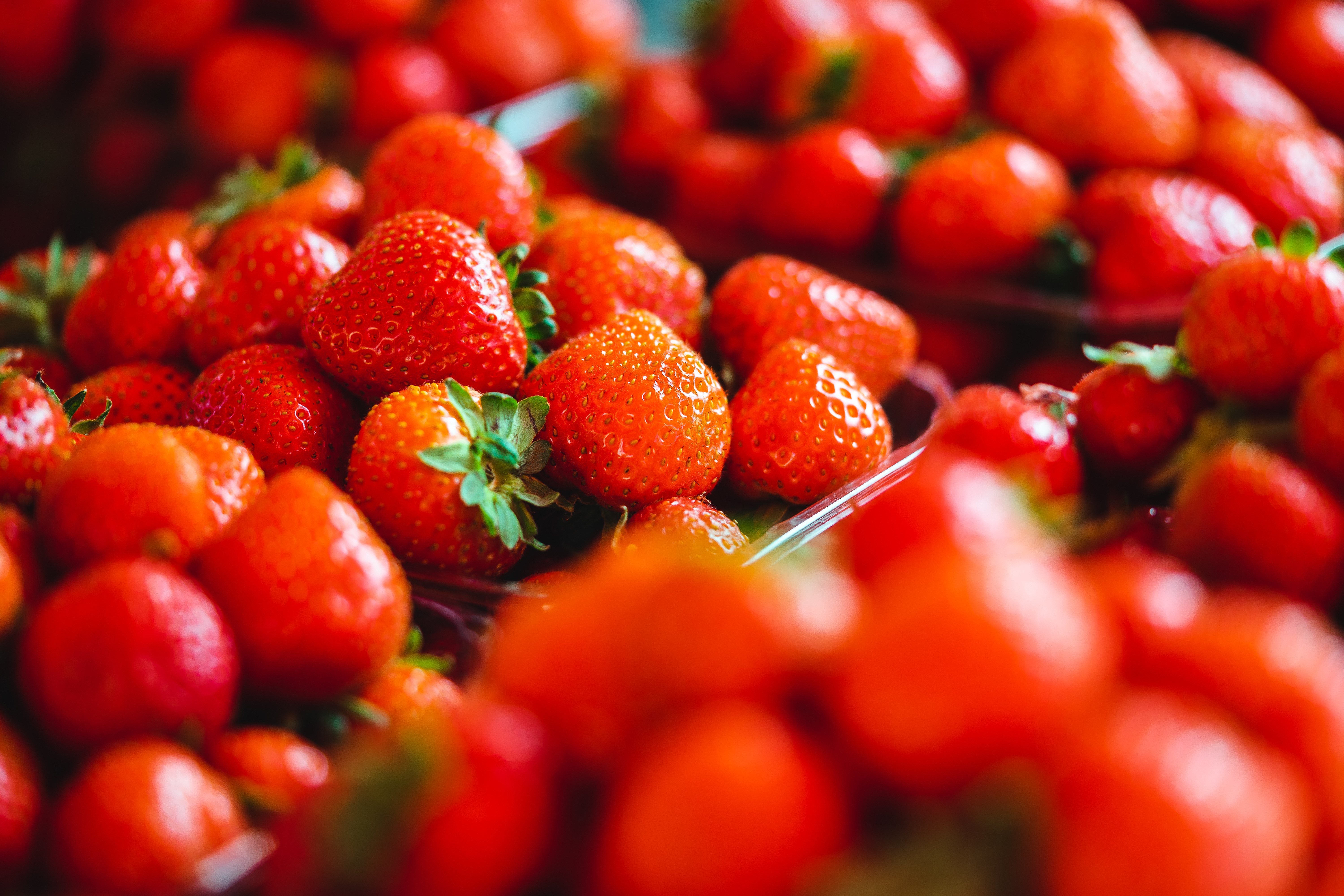 Many Strawberries in Closeup HD Wallpaper