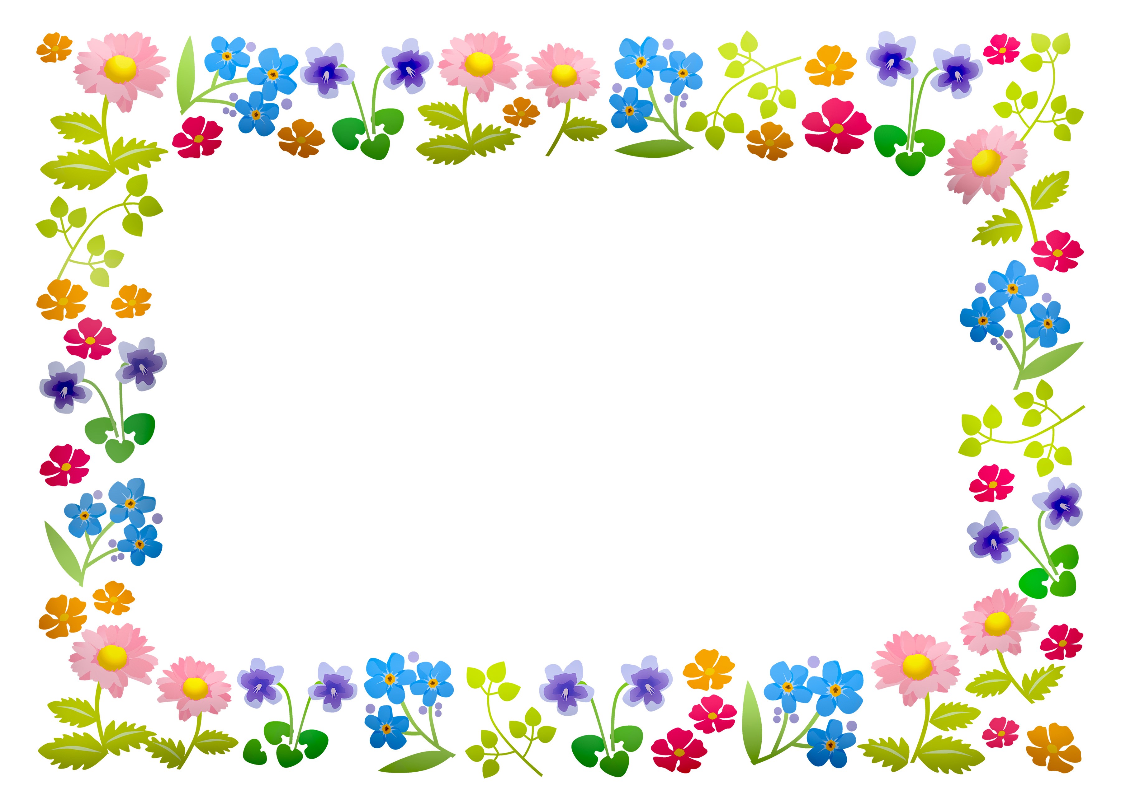 Floral border with multicolor flowers on white background HD Wallpaper