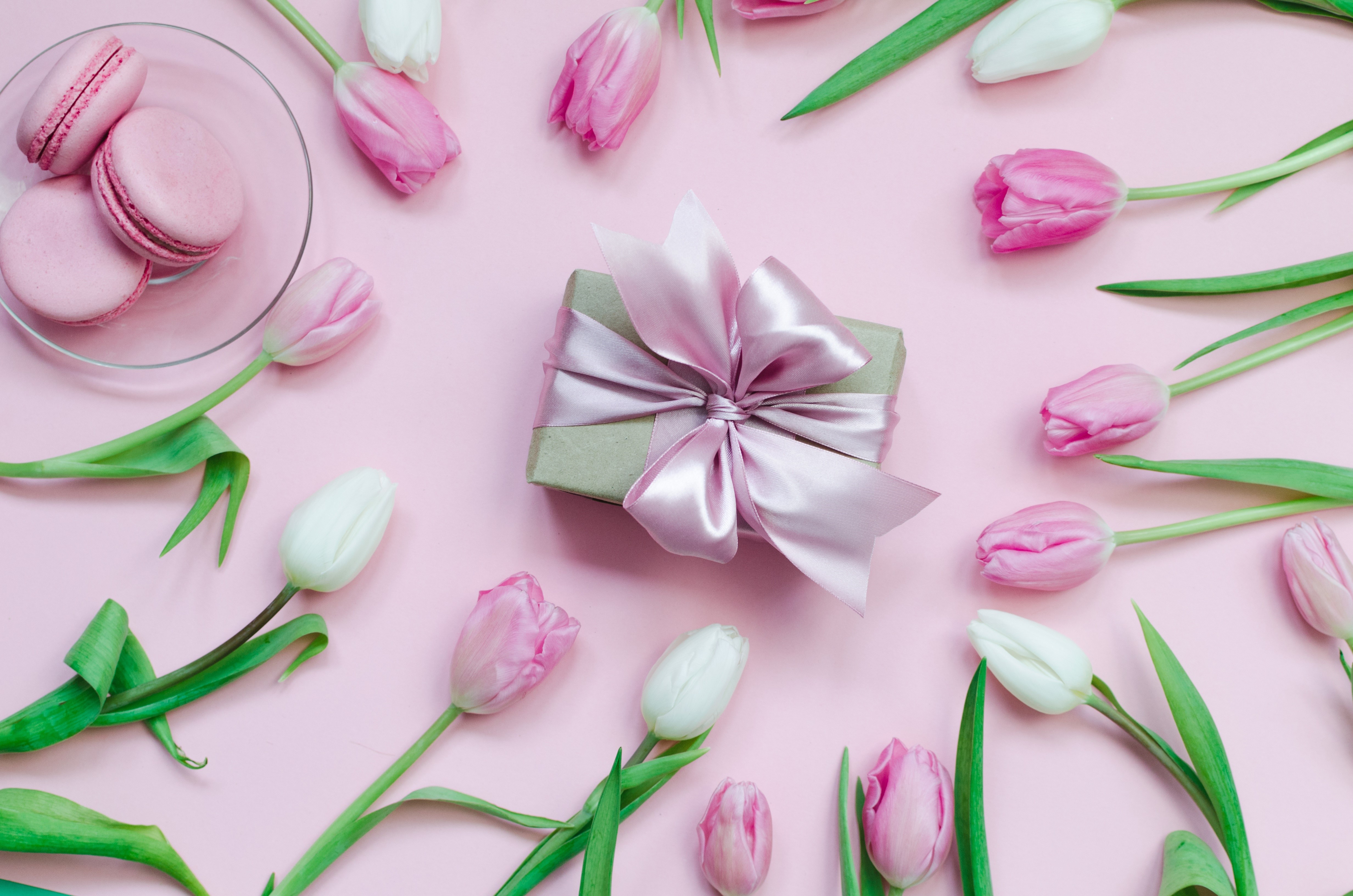 Pink and white tulips with macarons and gift box HD Wallpaper