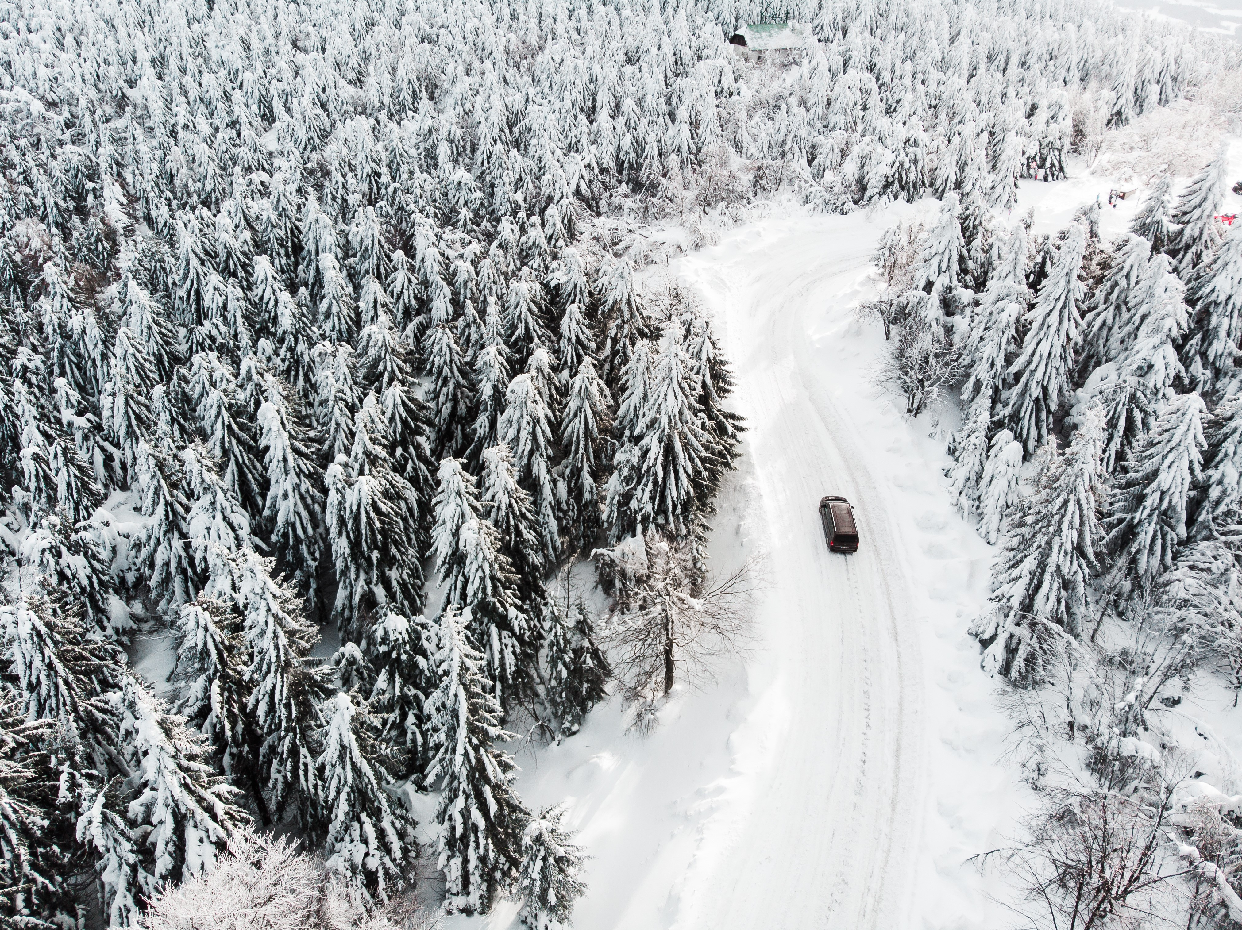 Car driving on a snowy road through a forest HD Wallpaper