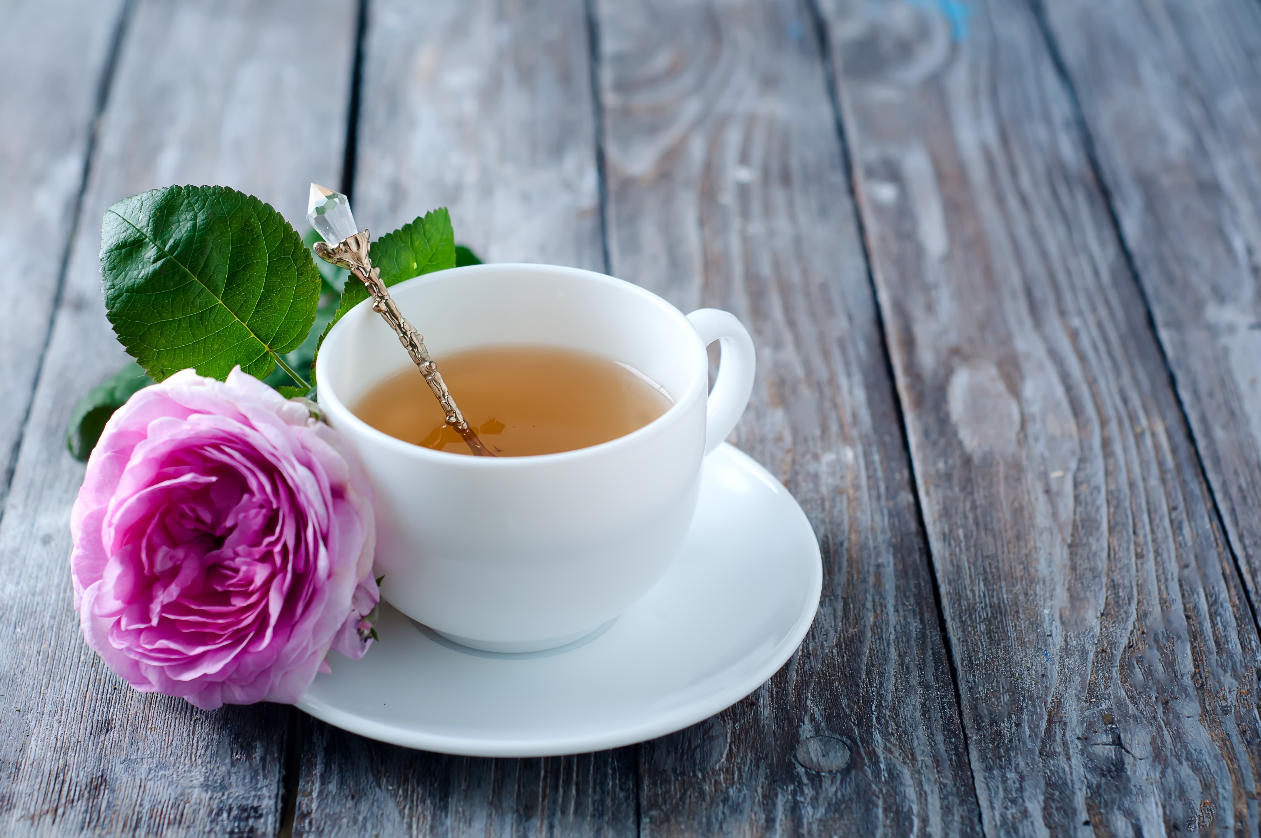 Tea in a cup with a rose and spoon HD Wallpaper