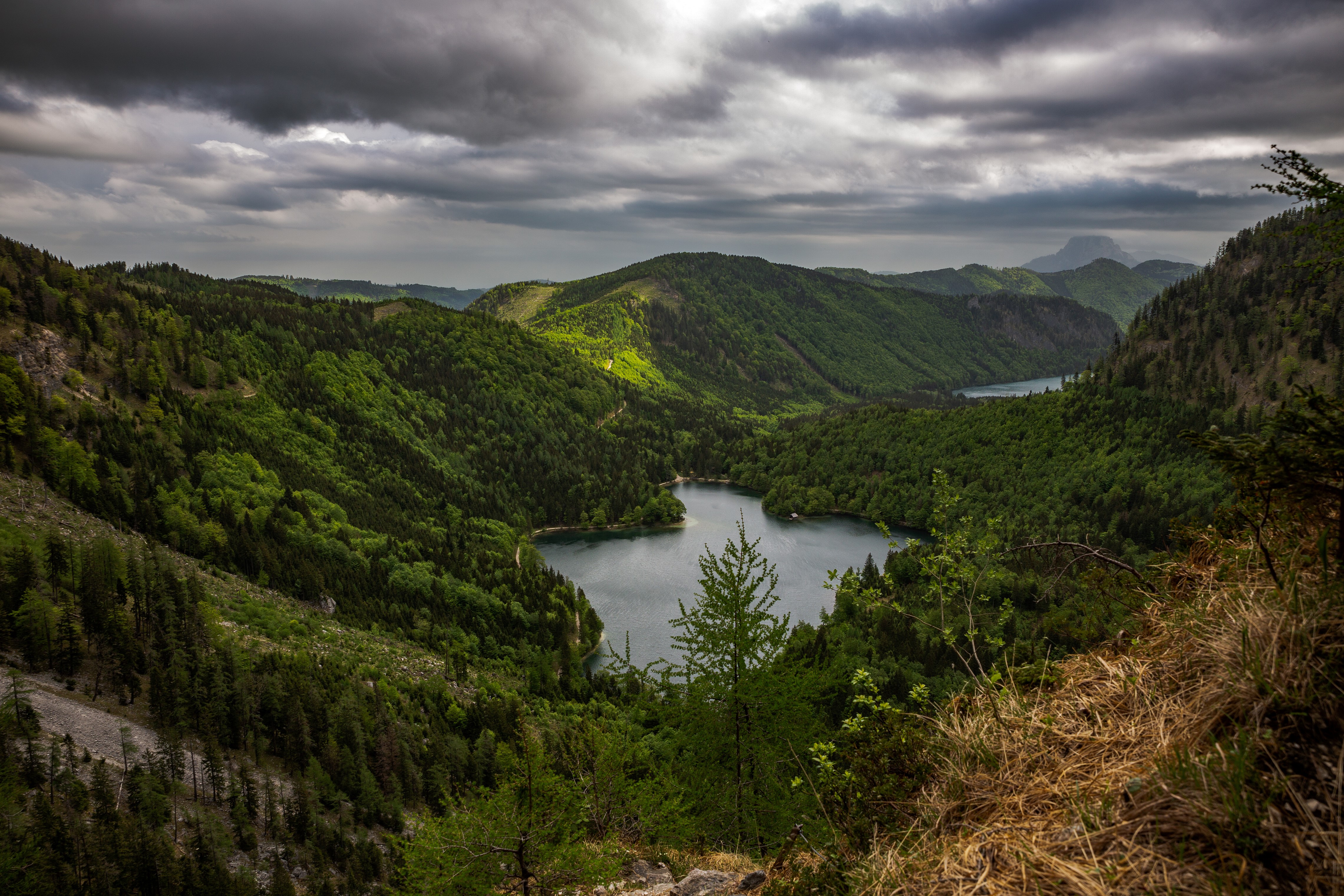 4K Langbathseen Lake and Forests in Austria HD Wallpaper