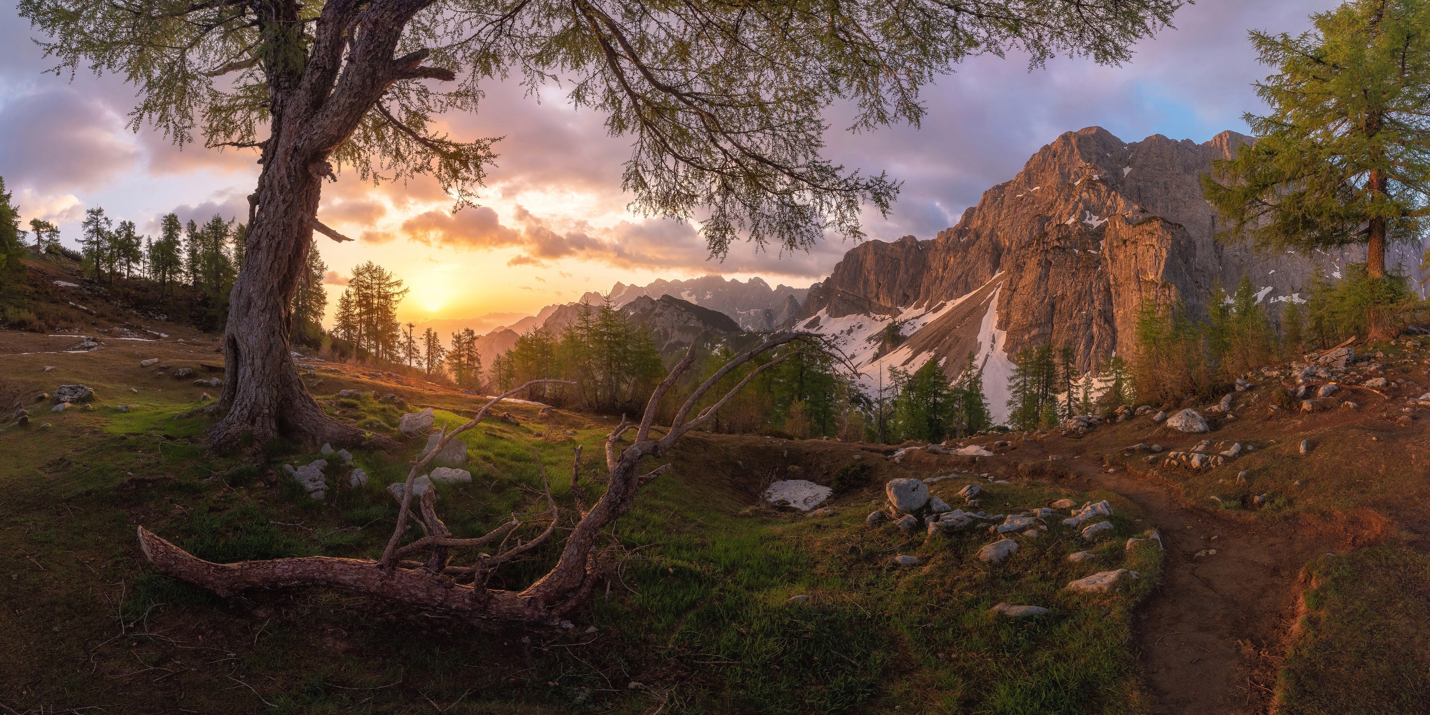 Mountain landscape with trees at sunset in Slovenia HD Wallpaper