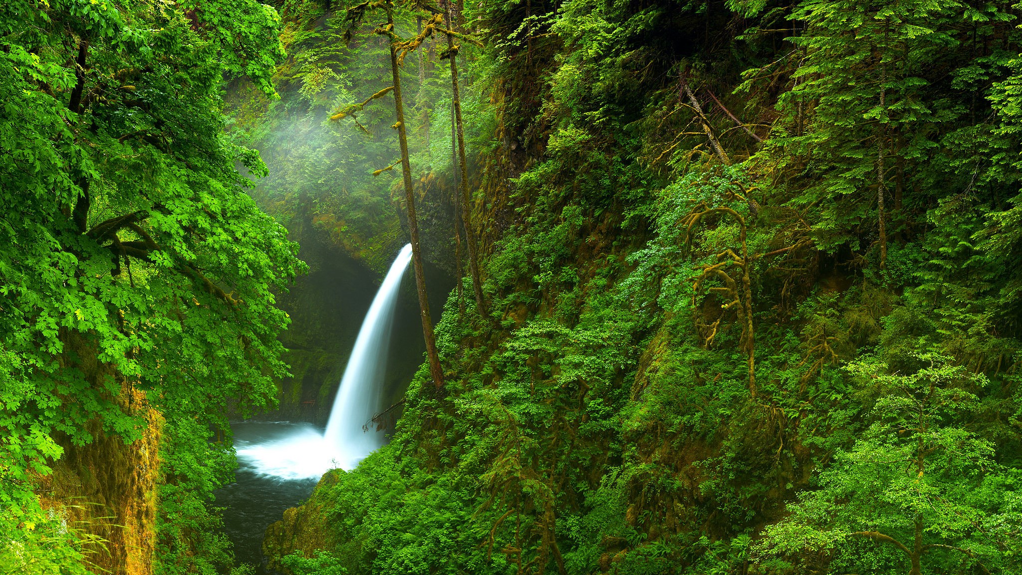 Waterfall cascading into a pool in a lush green forest HD Wallpaper