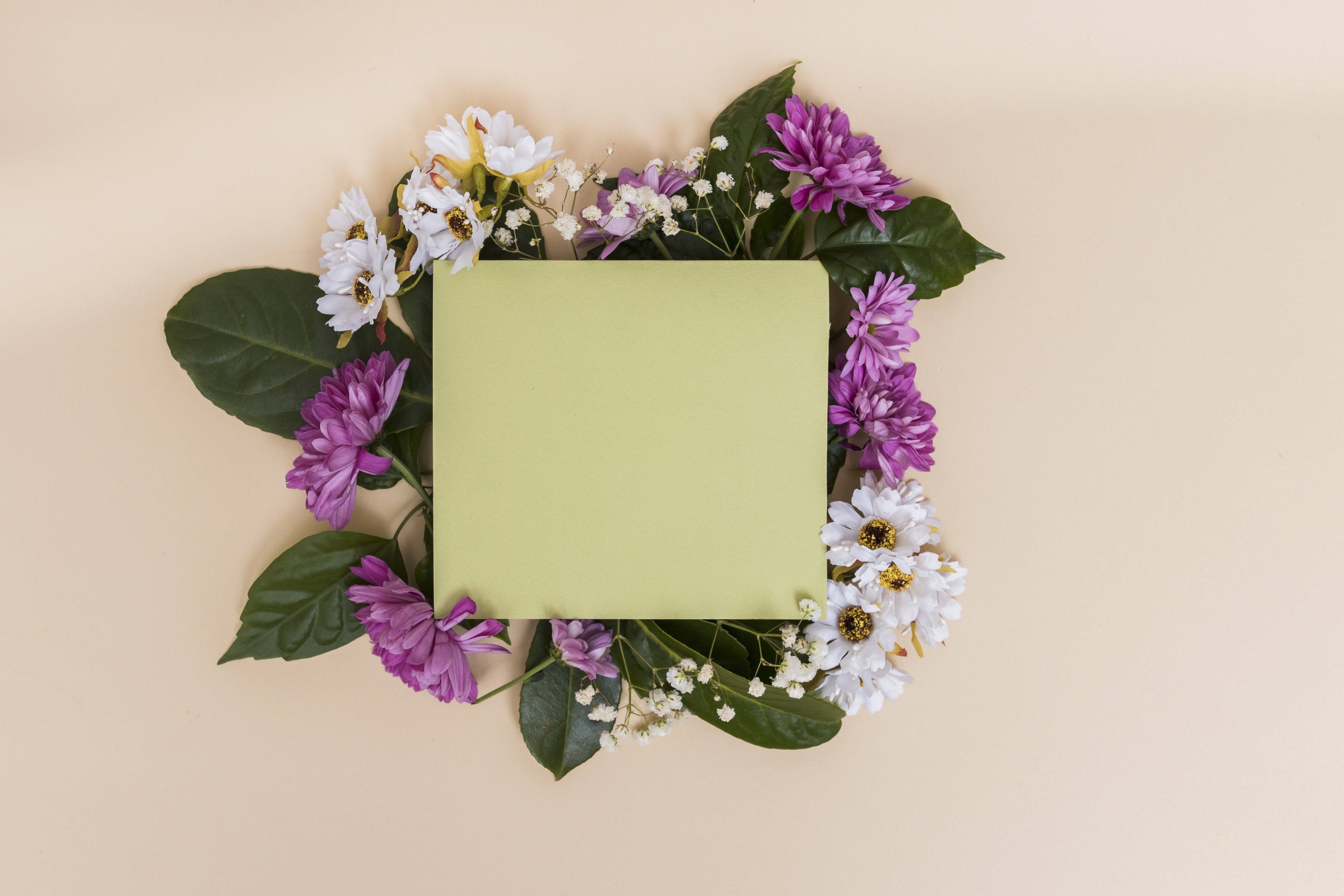 Square paper with flowers and leaves HD Wallpaper