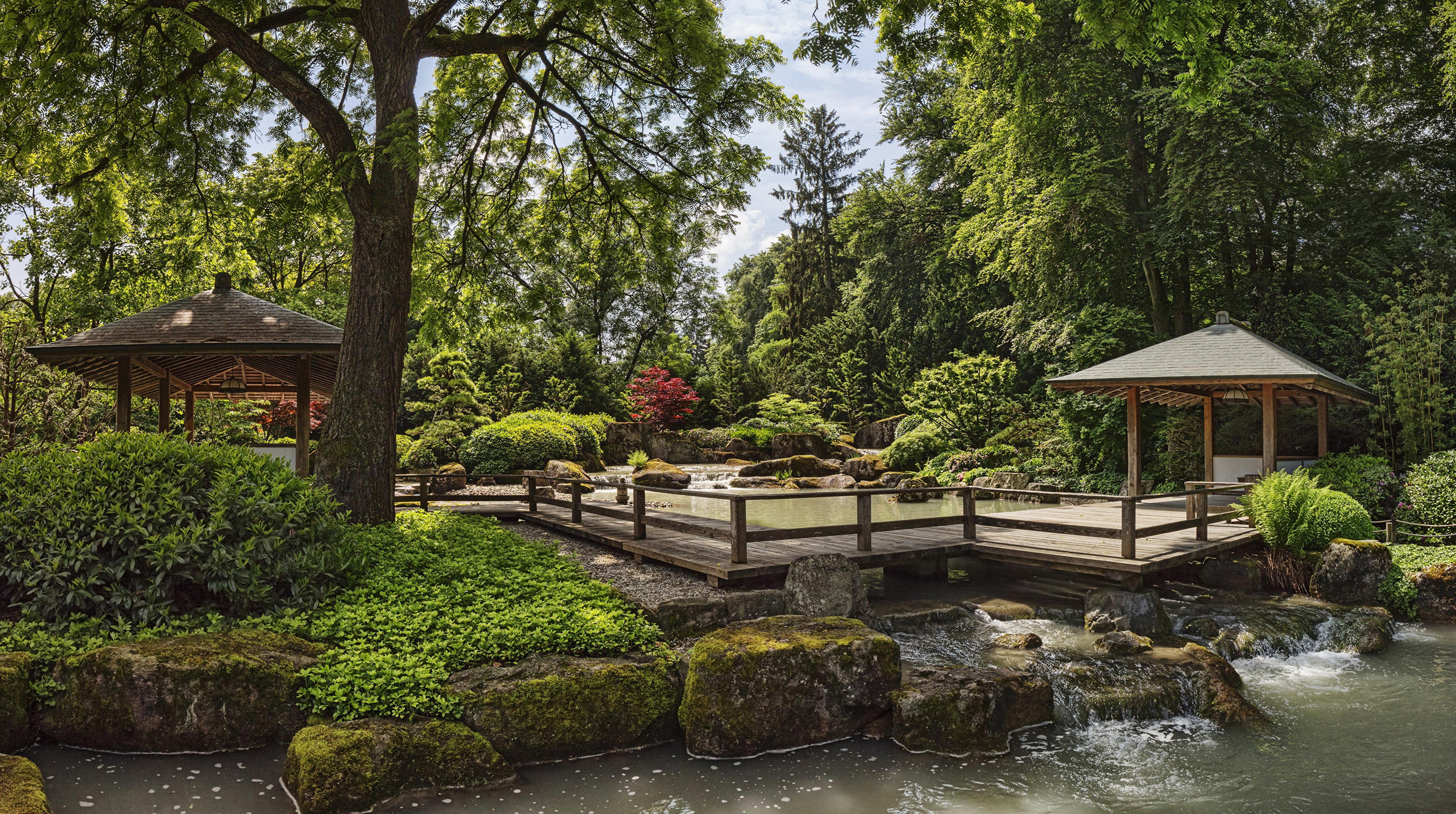 Augsburg Botanical Garden, Germany, Japanese Garden HD Wallpaper