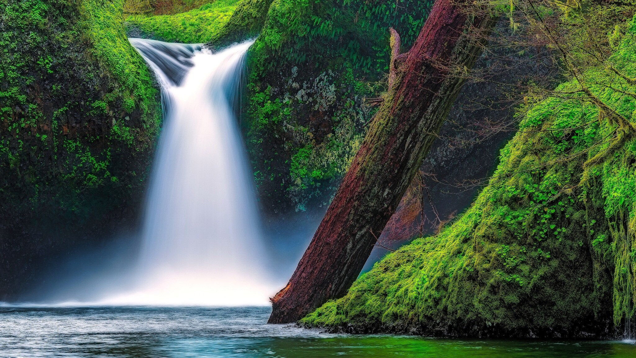 Waterfall cascading into a river surrounded by mossy rocks and trees HD Wallpaper