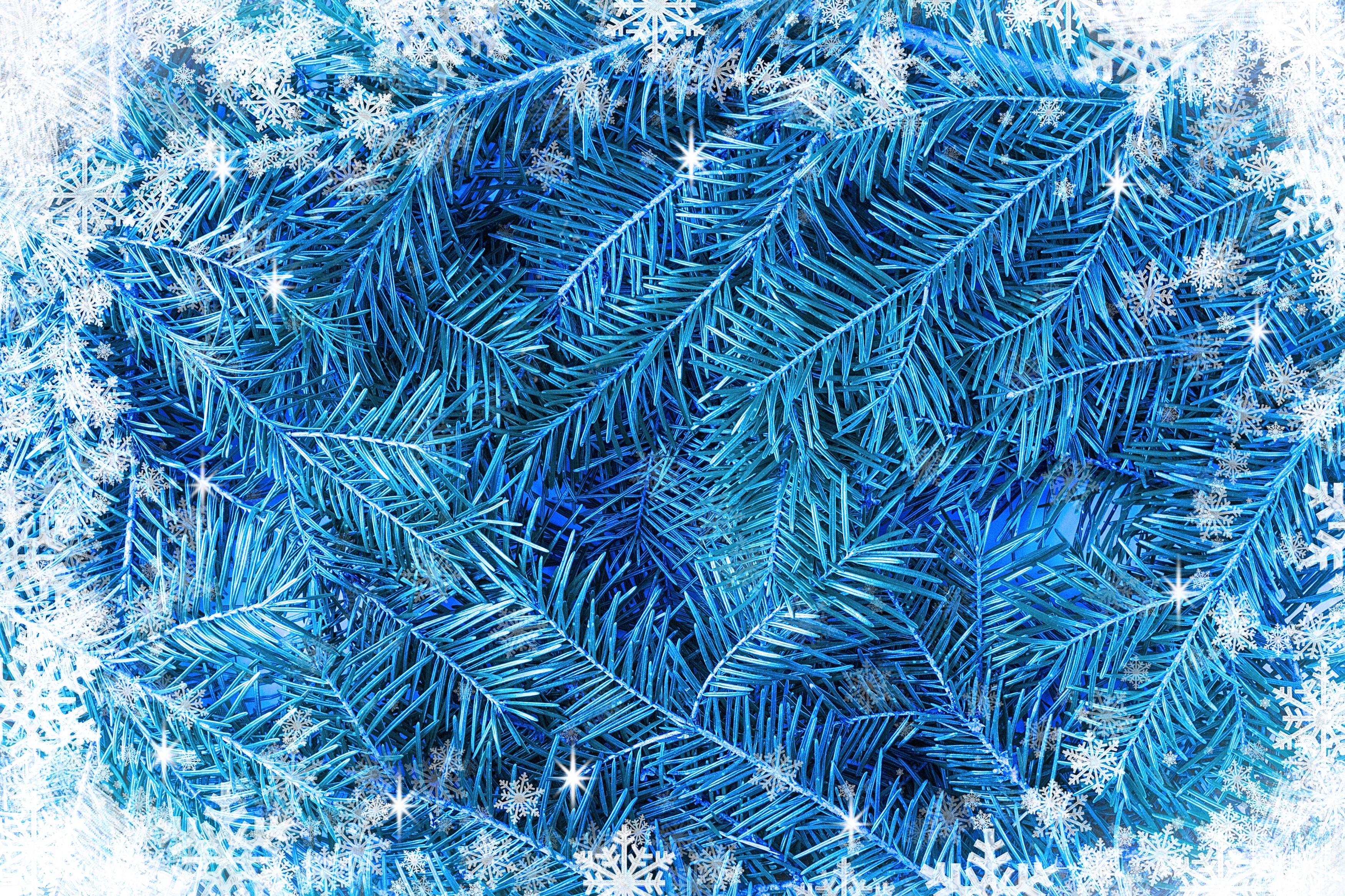 Christmas Pine Branches with Snowflakes HD Wallpaper
