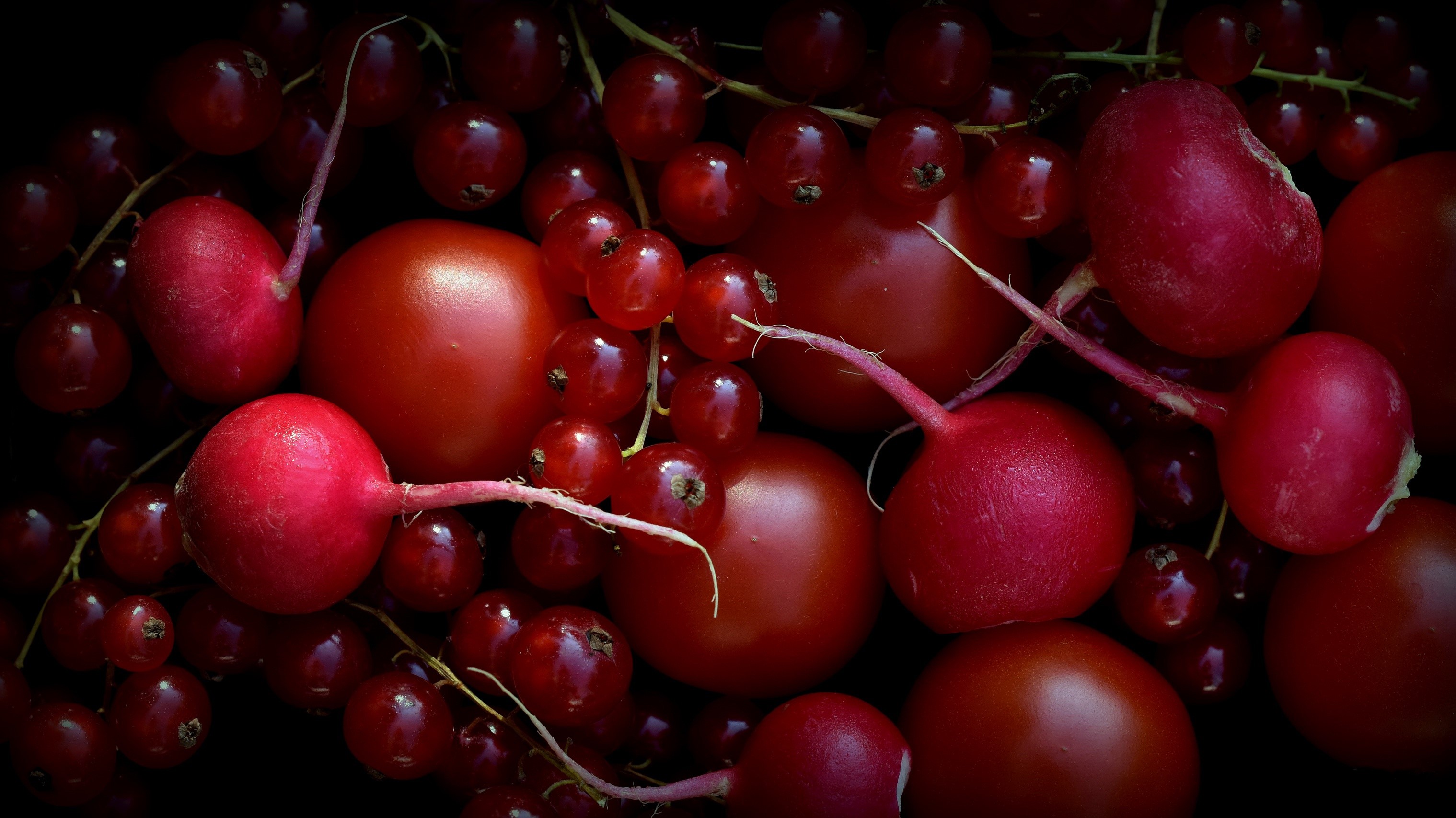 Red Currants, Tomatoes, and Radishes HD Wallpaper