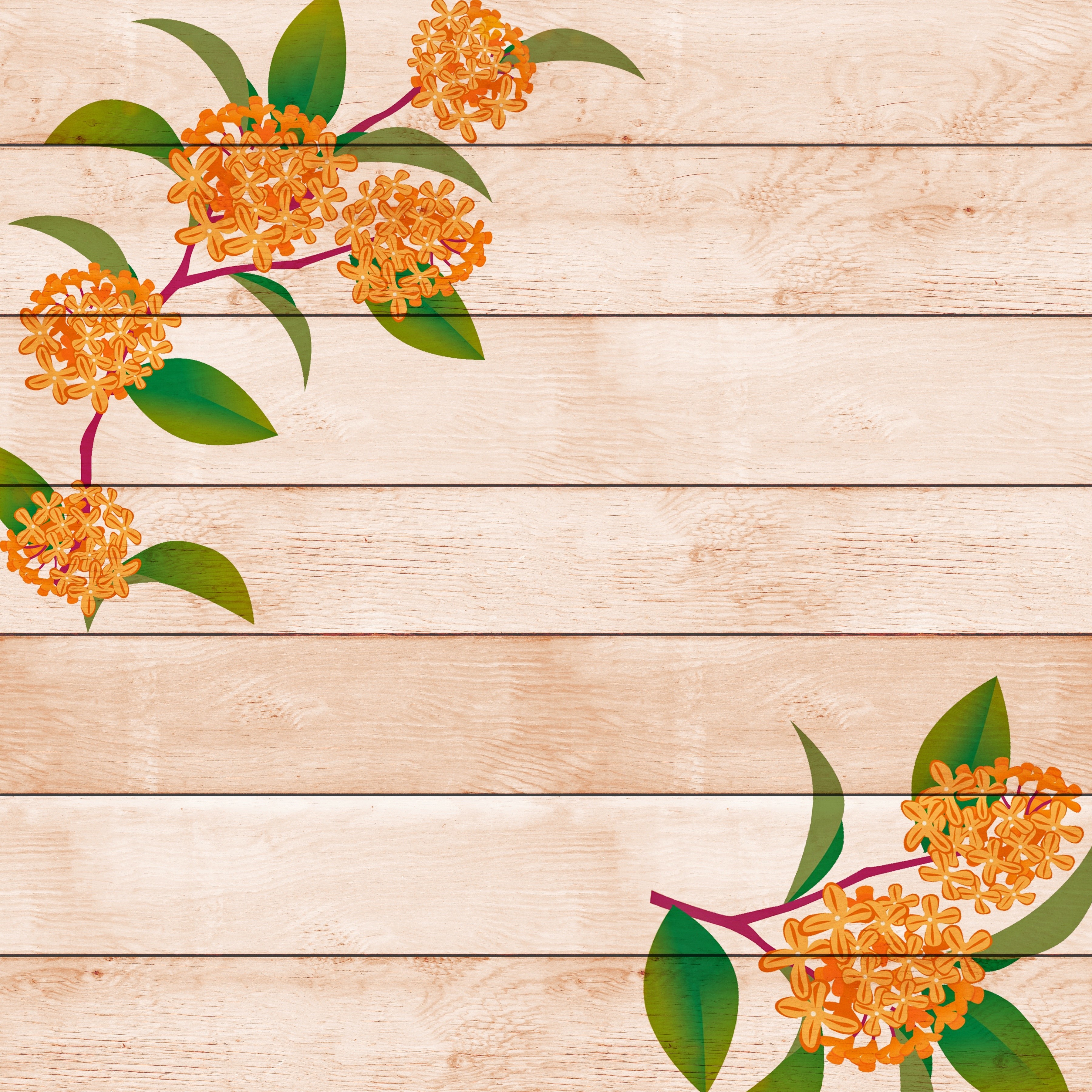 Orange flowers on wood planks HD Wallpaper