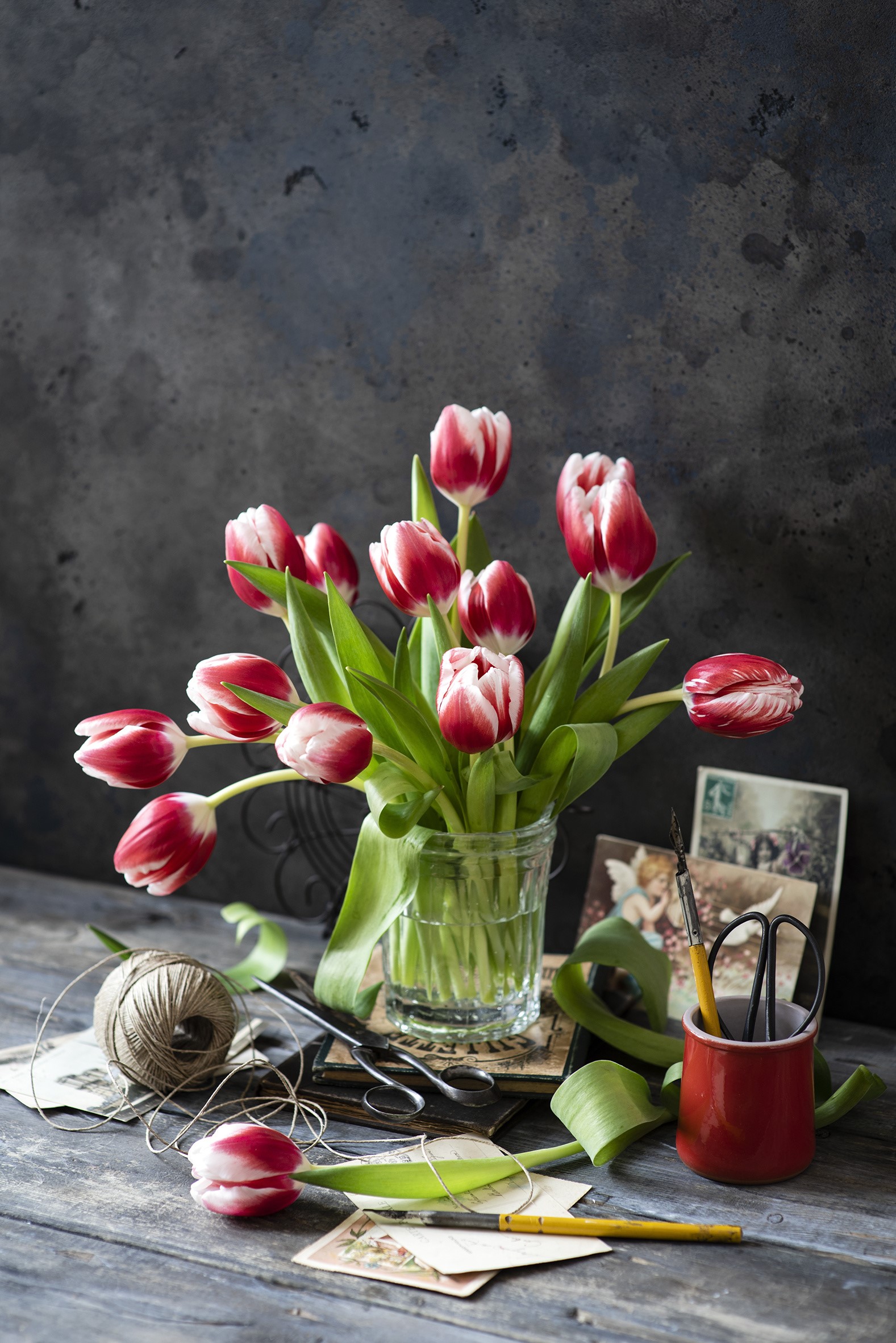 Still-life of red and white tulips in a vase HD Phone Wallpaper