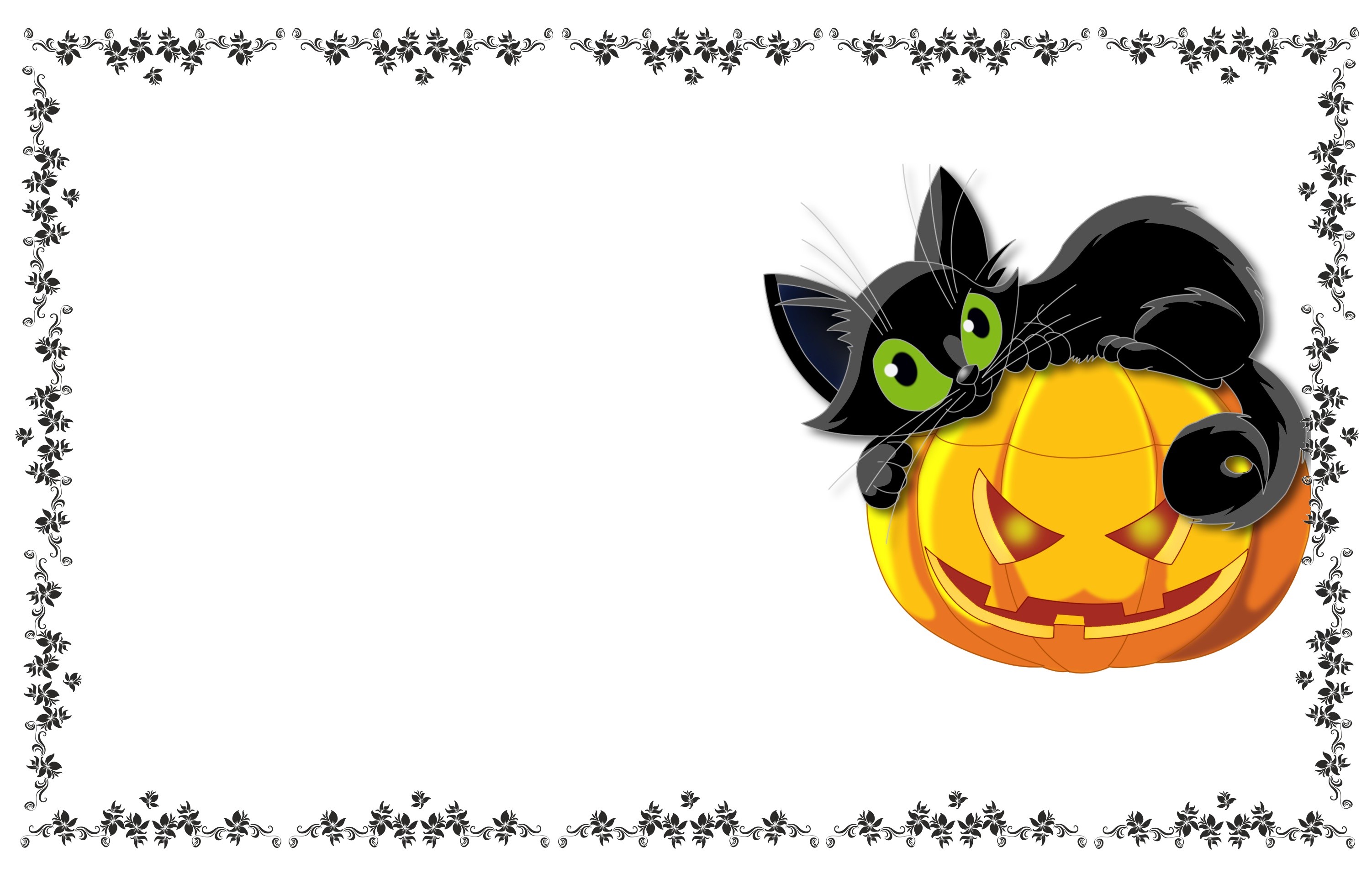 Black cat on a Halloween pumpkin with floral border HD Wallpaper