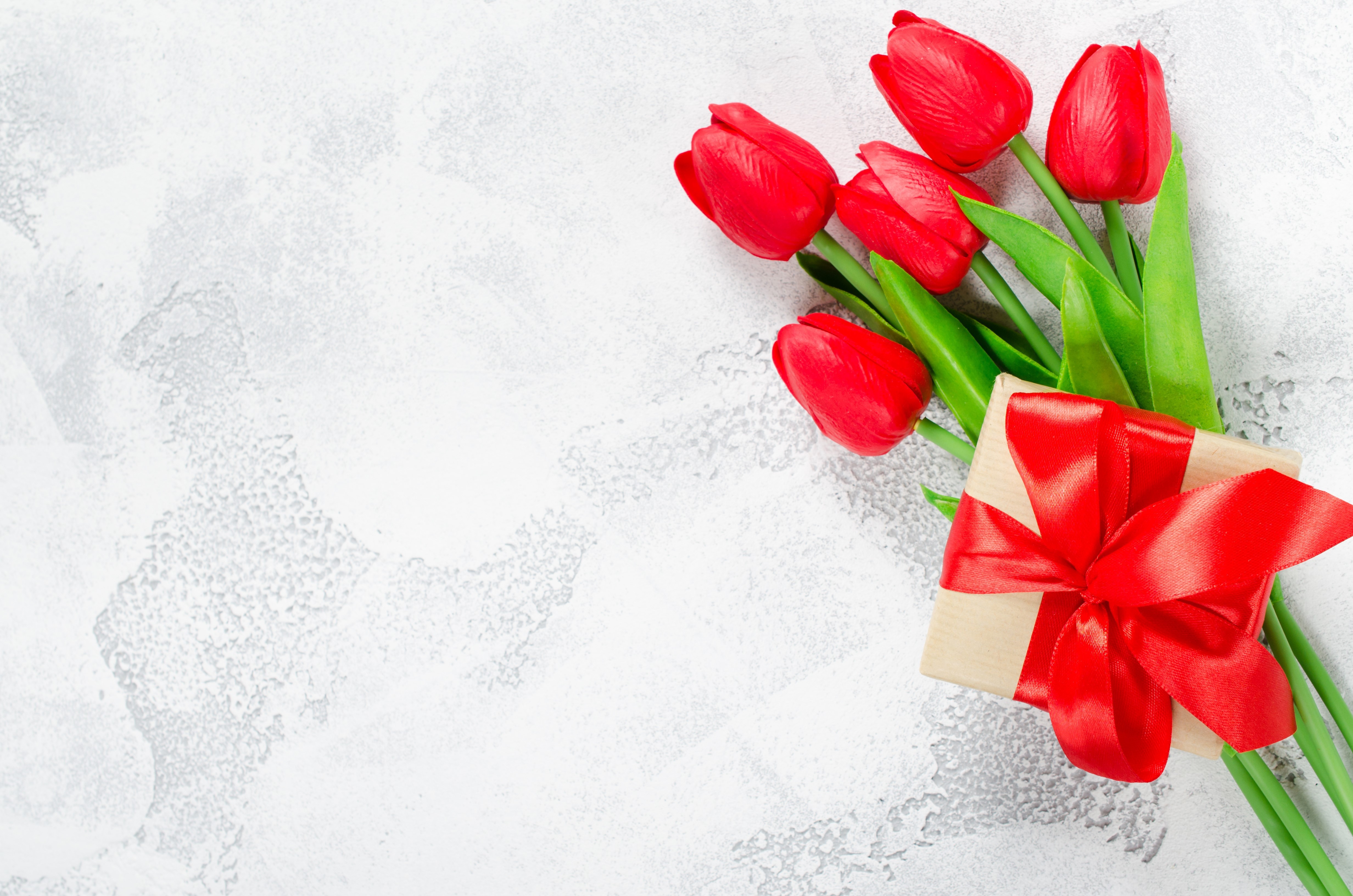 Red Tulips and Gift Box HD Wallpaper
