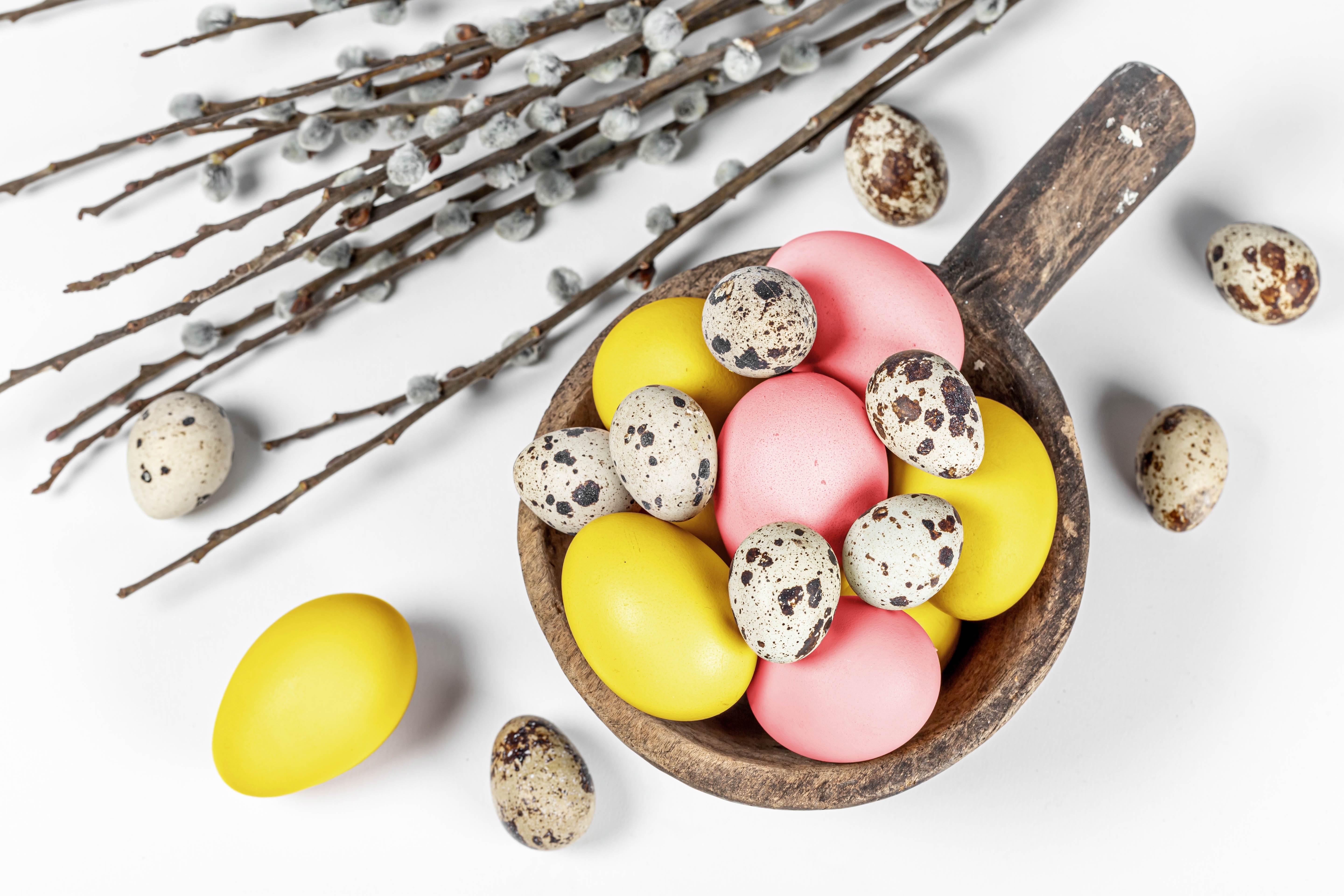 Easter eggs and pussy willow branches HD Wallpaper