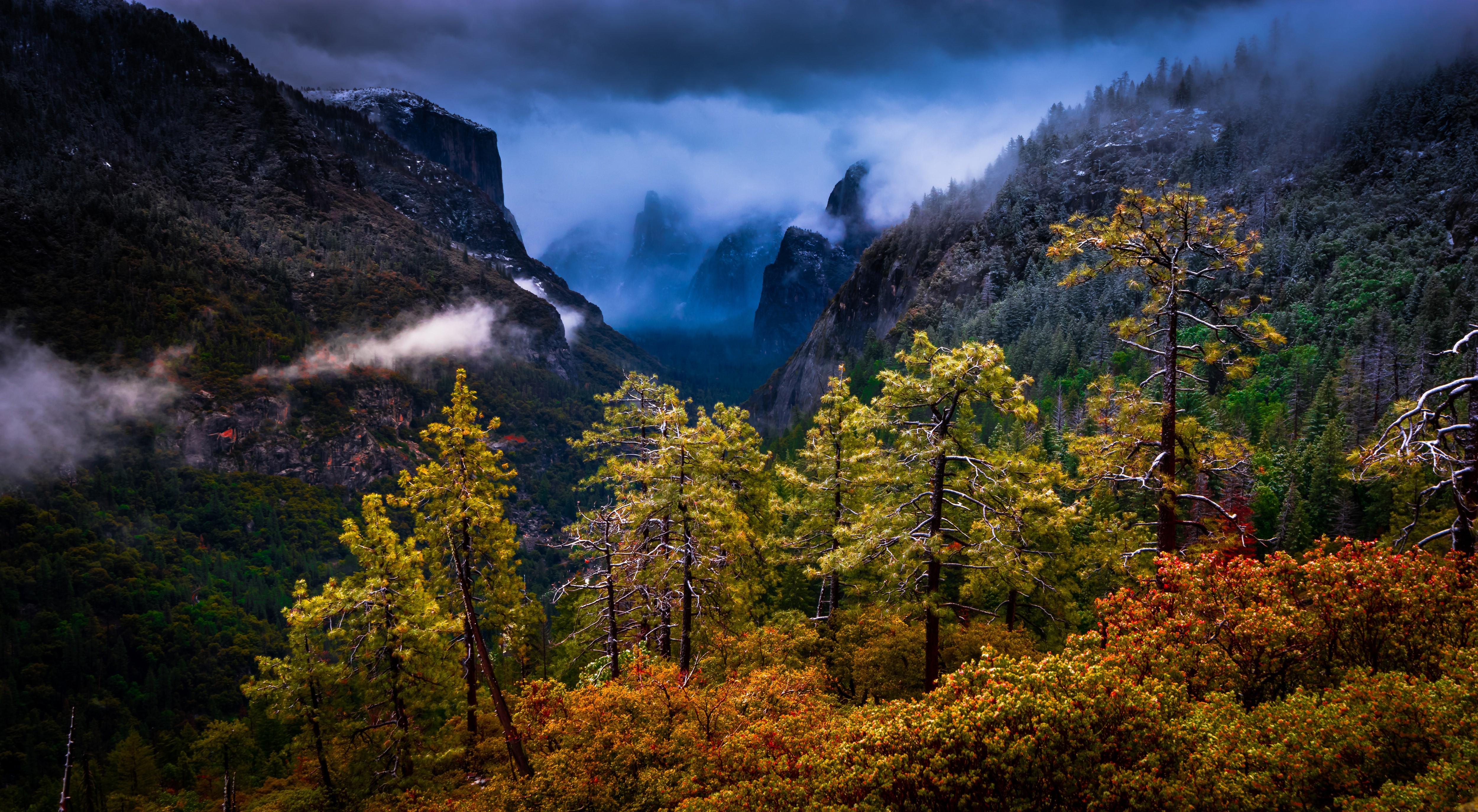 Yosemite Valley Mountains and Trees in Fog HD Wallpaper