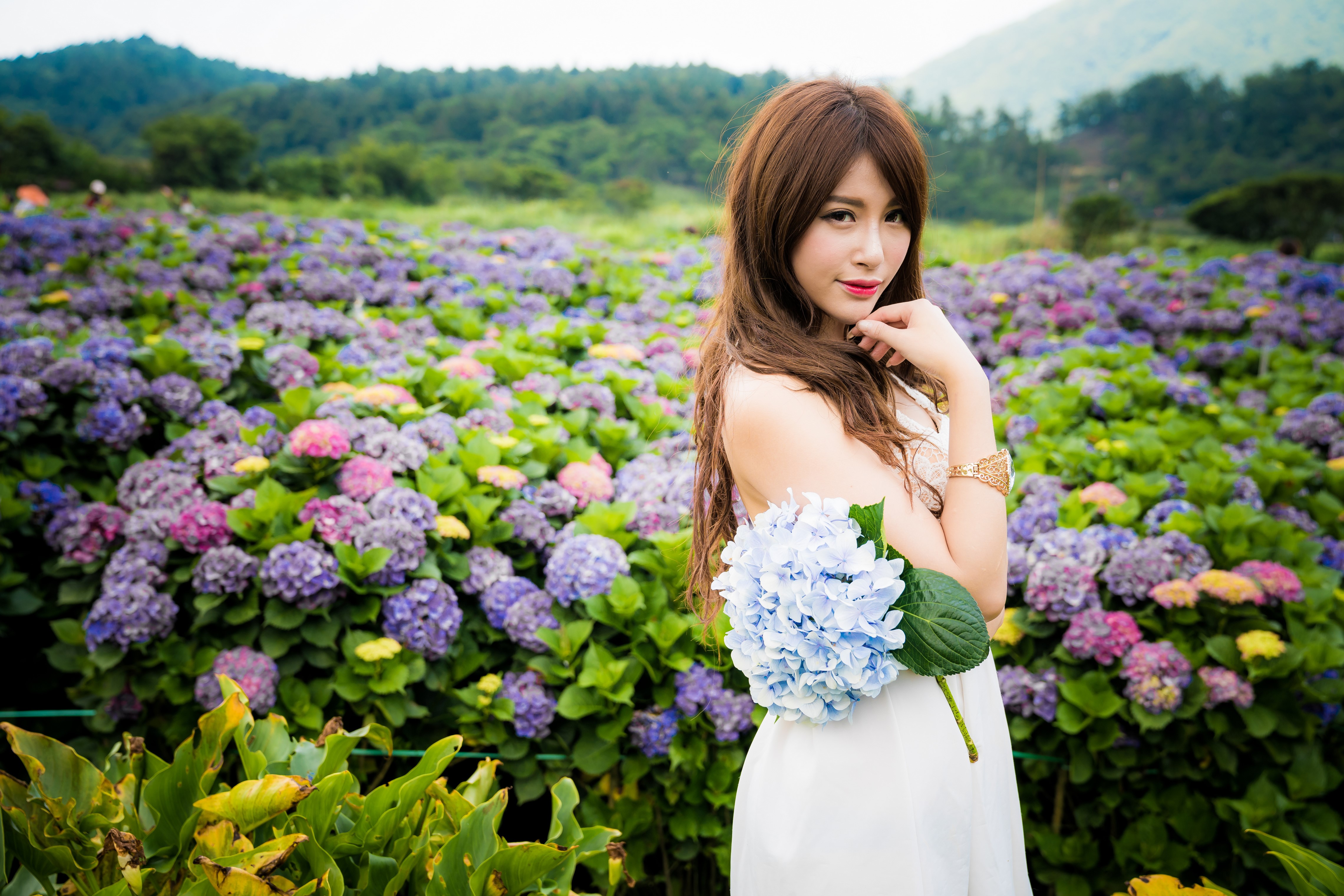 Asian woman in white dress holding hydrangea bouquet in flower field HD Wallpaper
