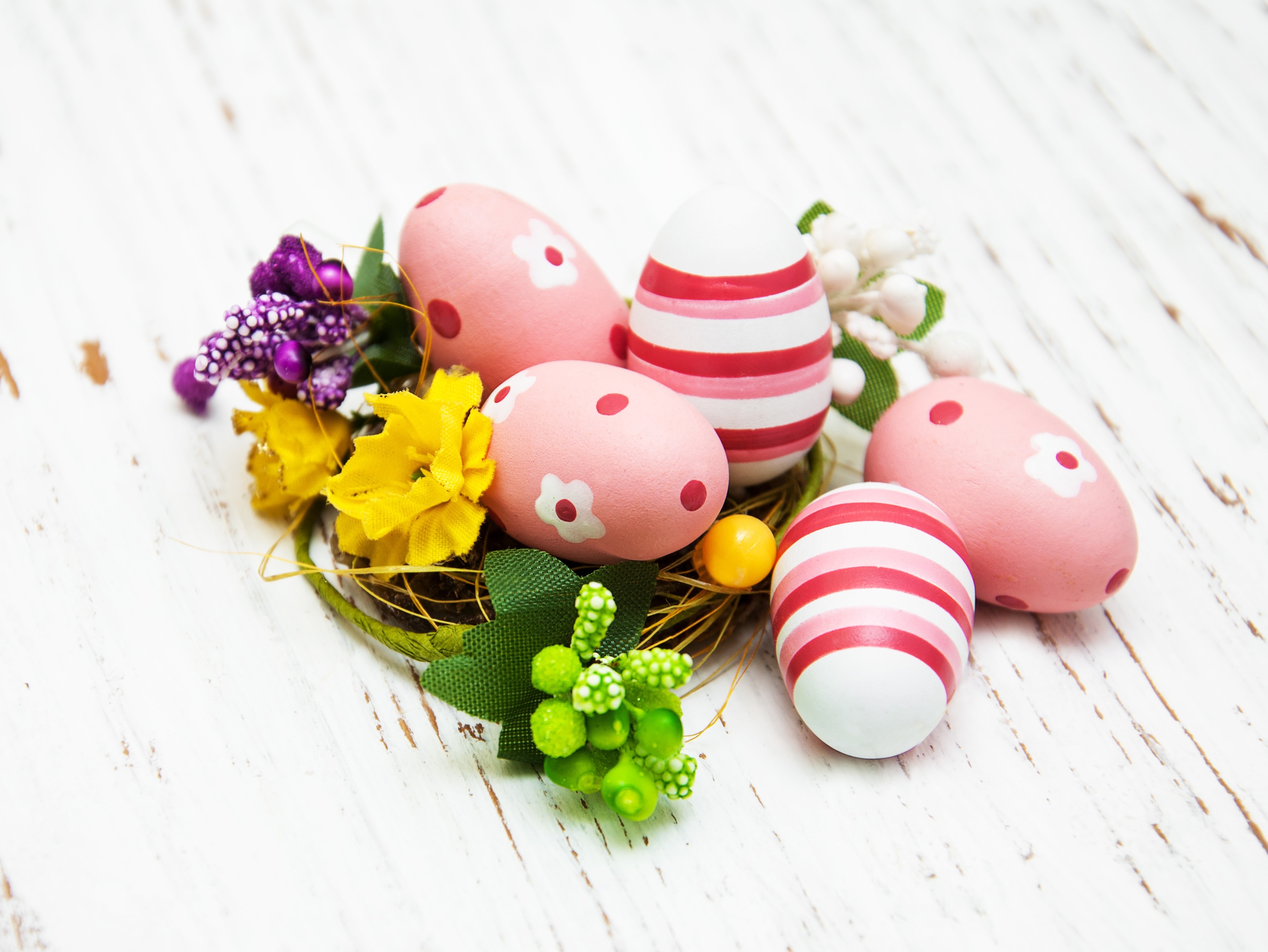 Easter eggs in a nest with flowers HD Wallpaper