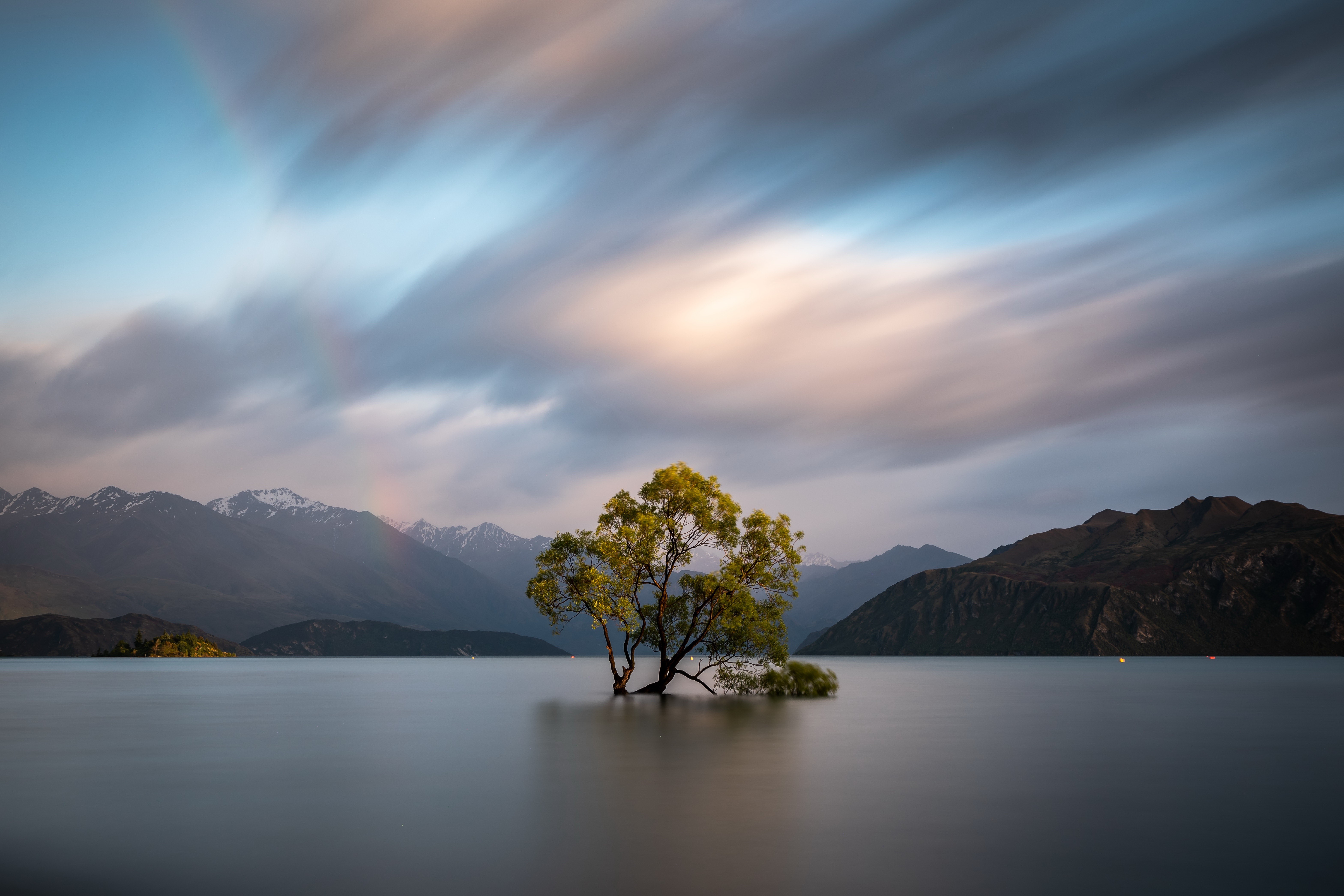 Wanaka Tree, Mountains, and Lake in New Zealand HD Wallpaper