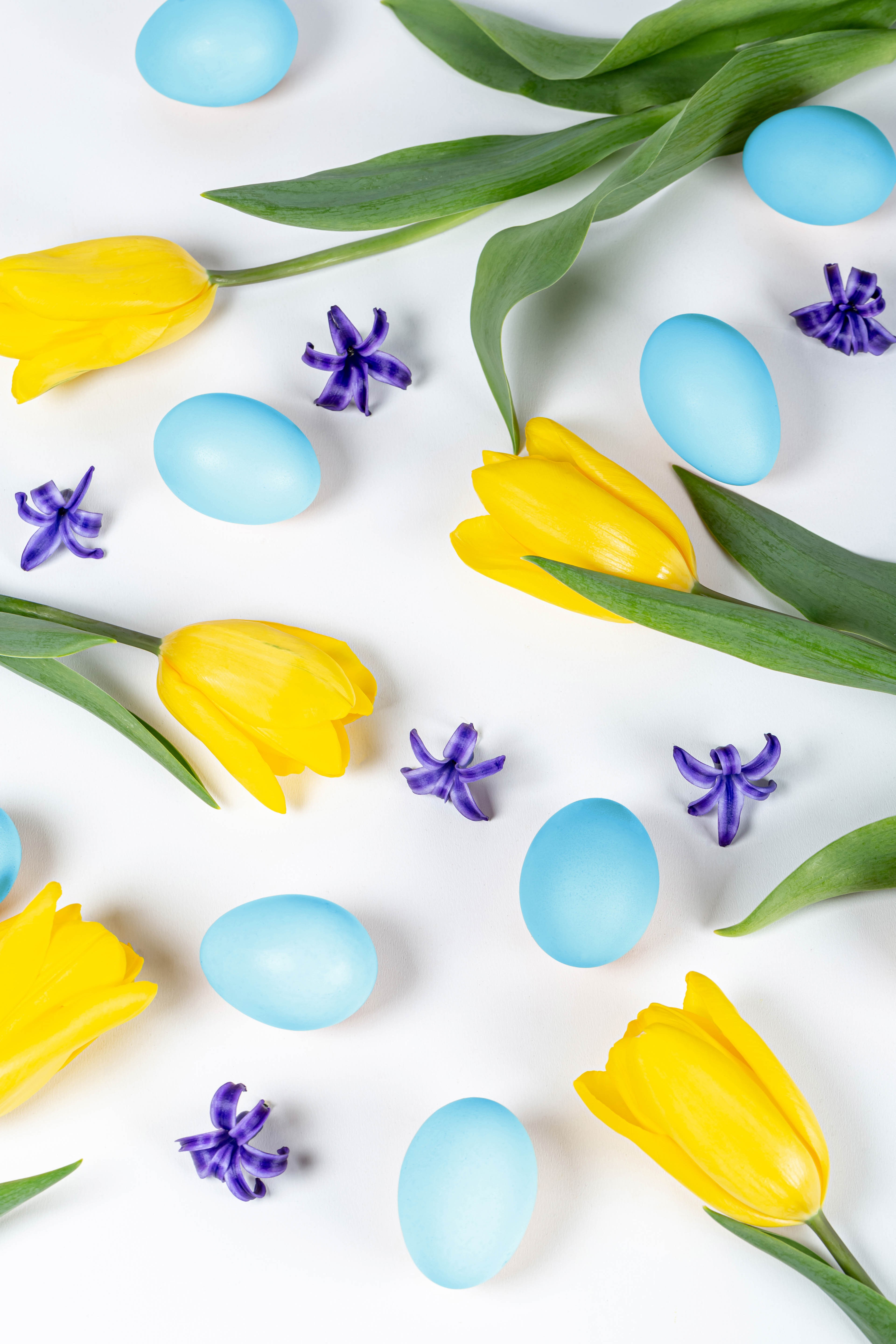 Easter Tulips and Eggs on White Background HD Phone Wallpaper