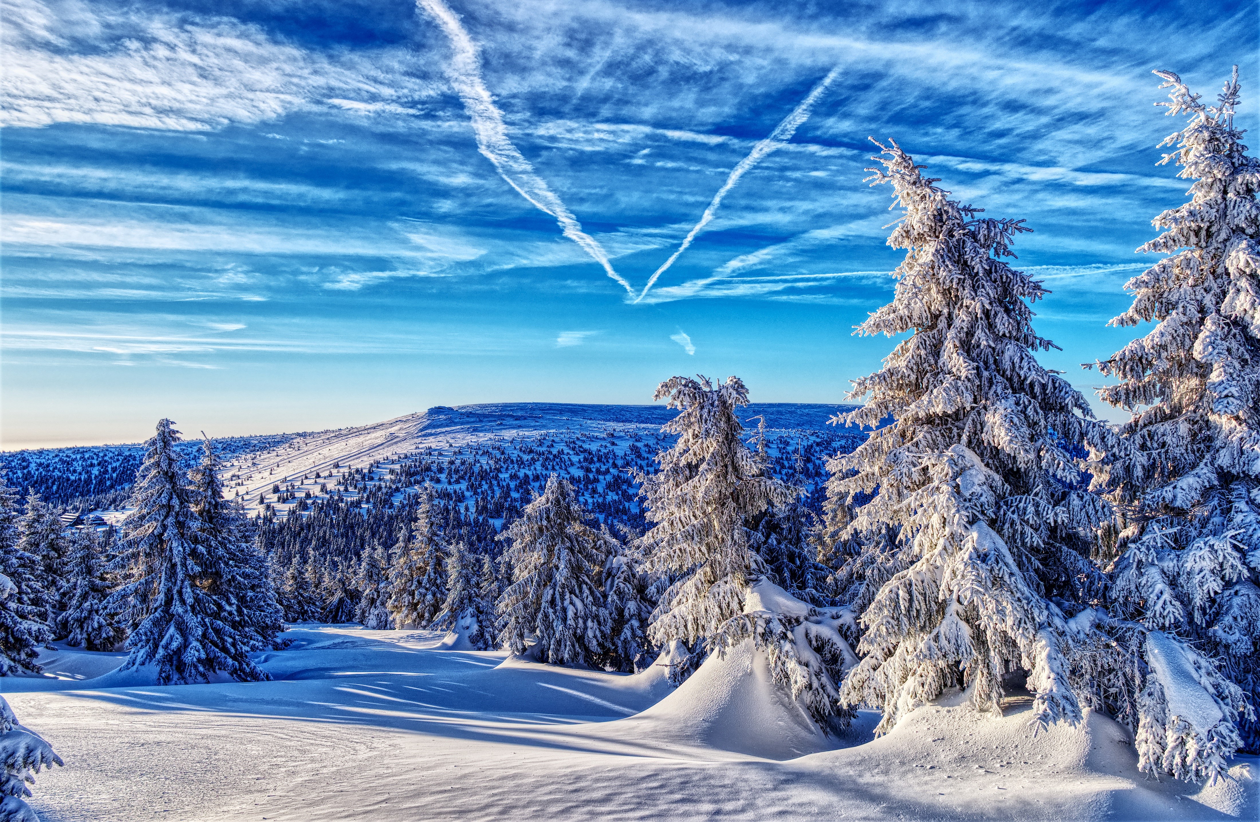 4K Winter Forest Mountains Scenery in Czech Republic HD Wallpaper