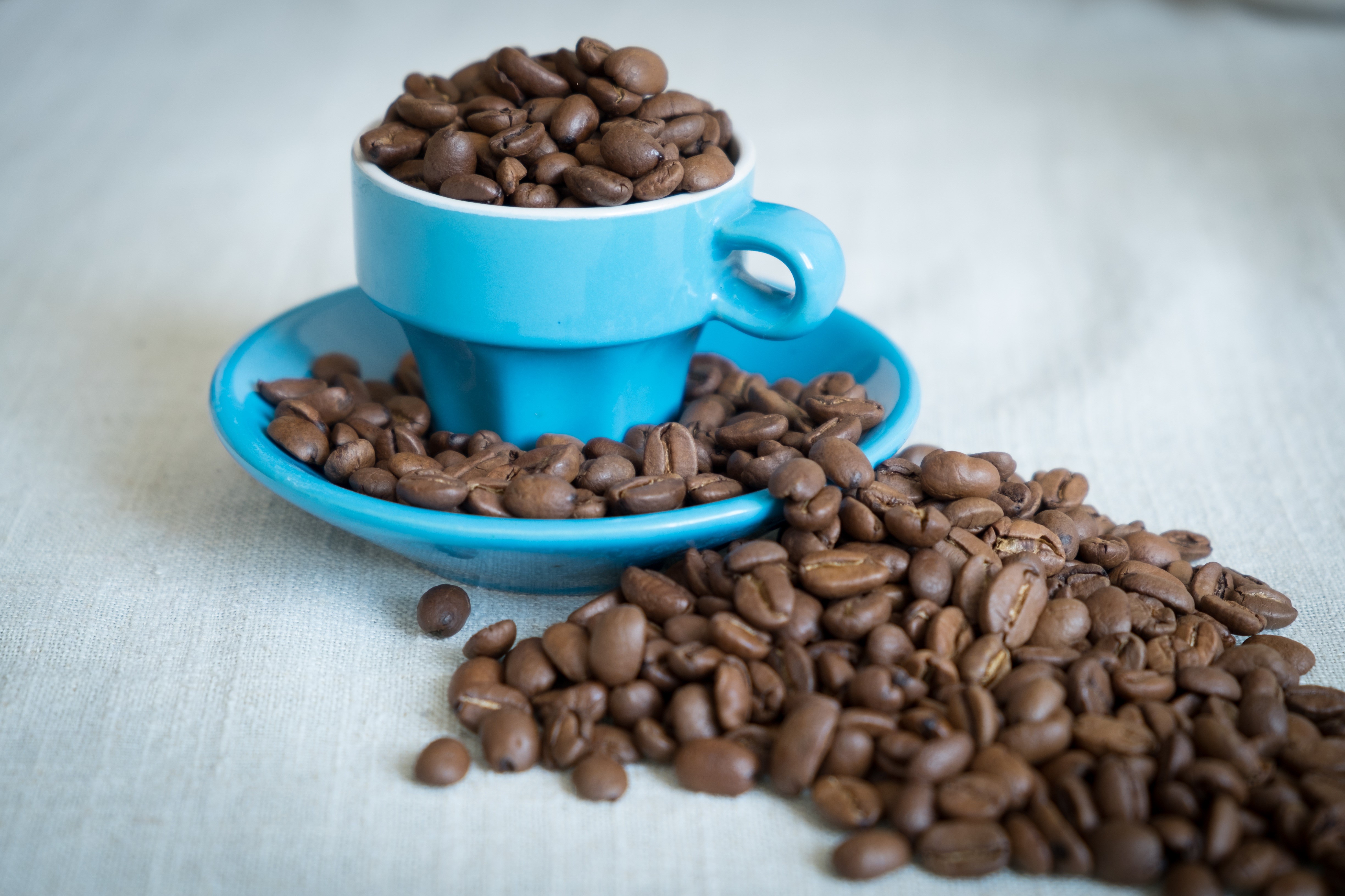 Blue coffee cup filled with coffee beans HD Wallpaper