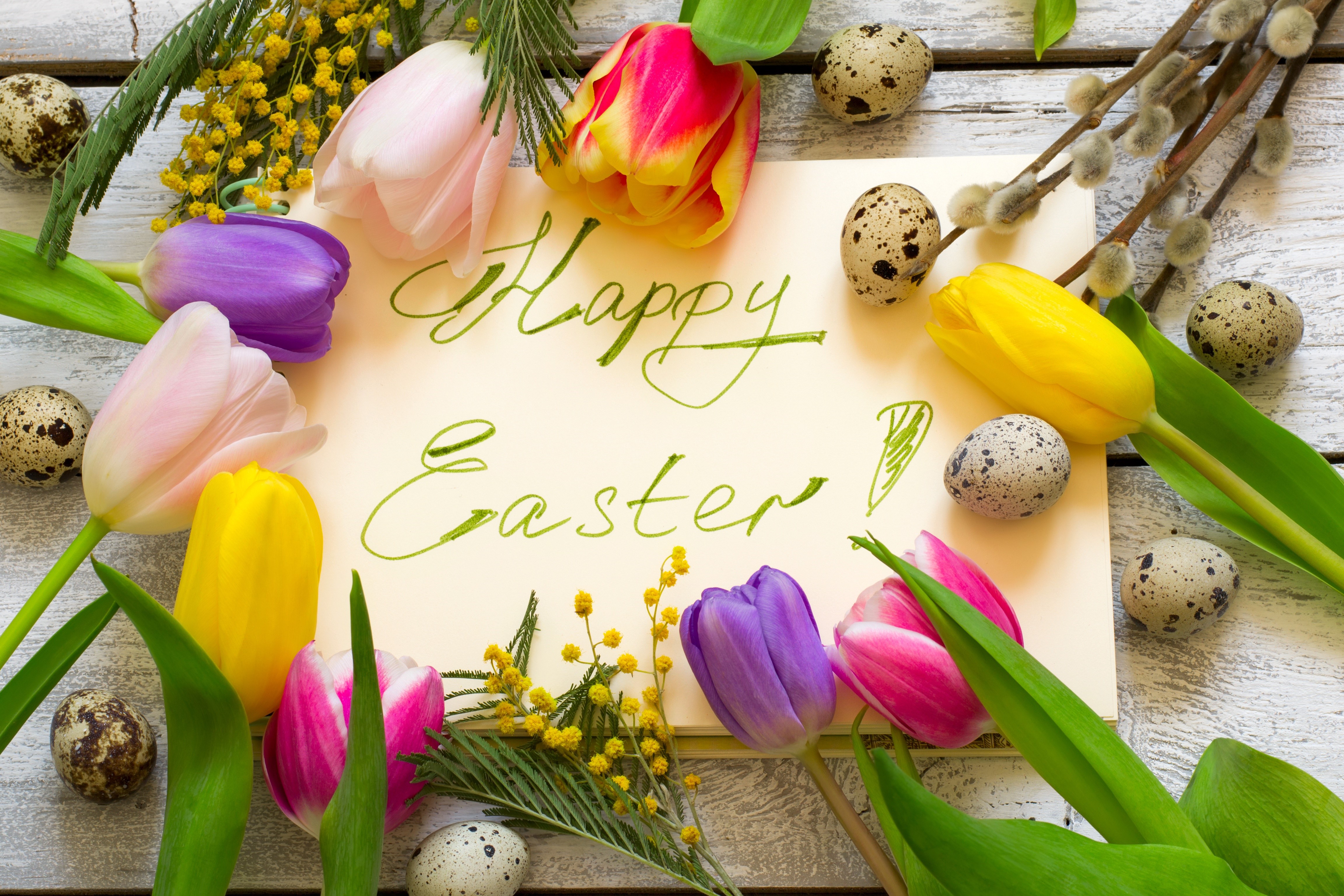 Easter Tulips and Quail Eggs on White Wood HD Wallpaper