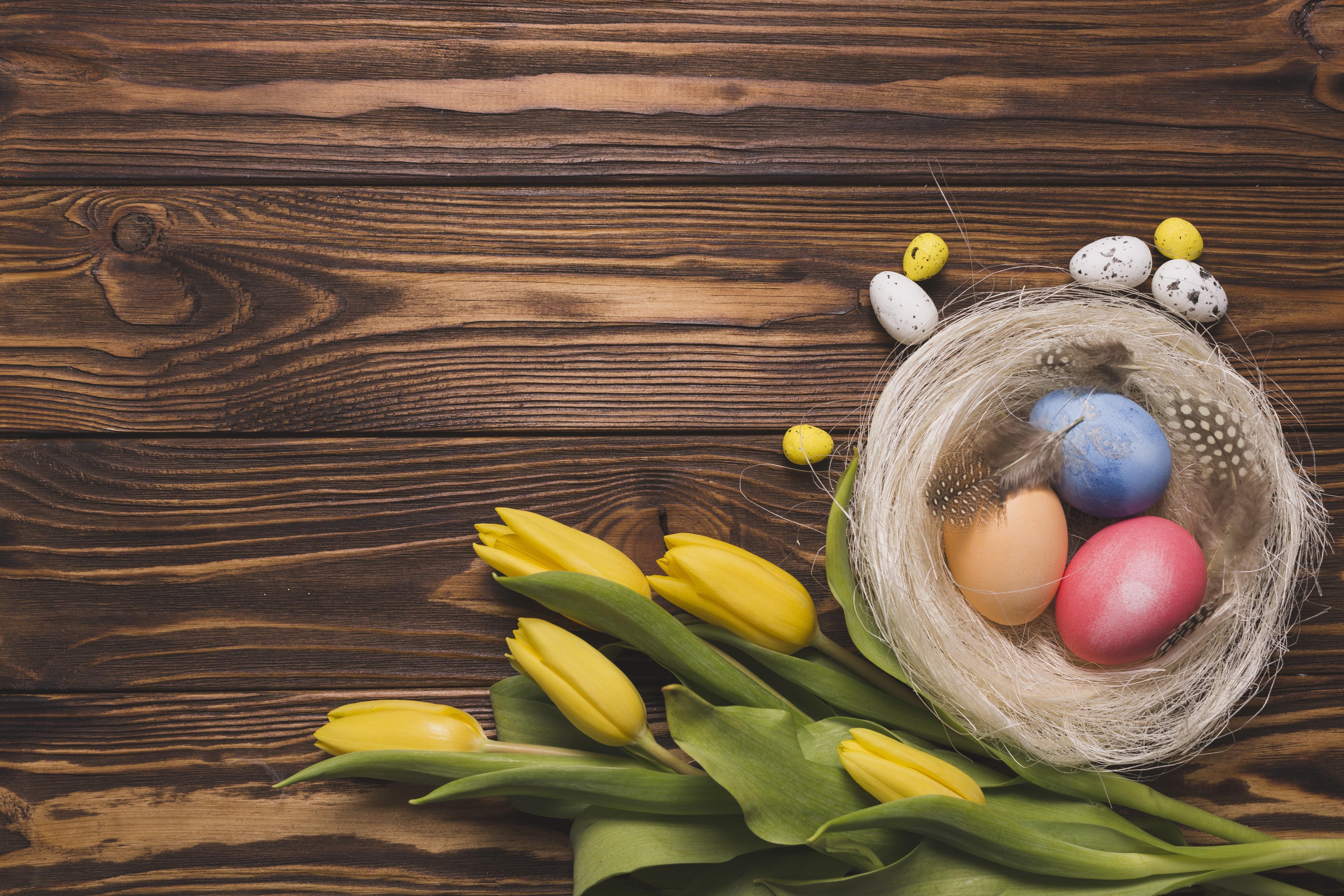Easter eggs in a nest with yellow tulips on wood HD Wallpaper