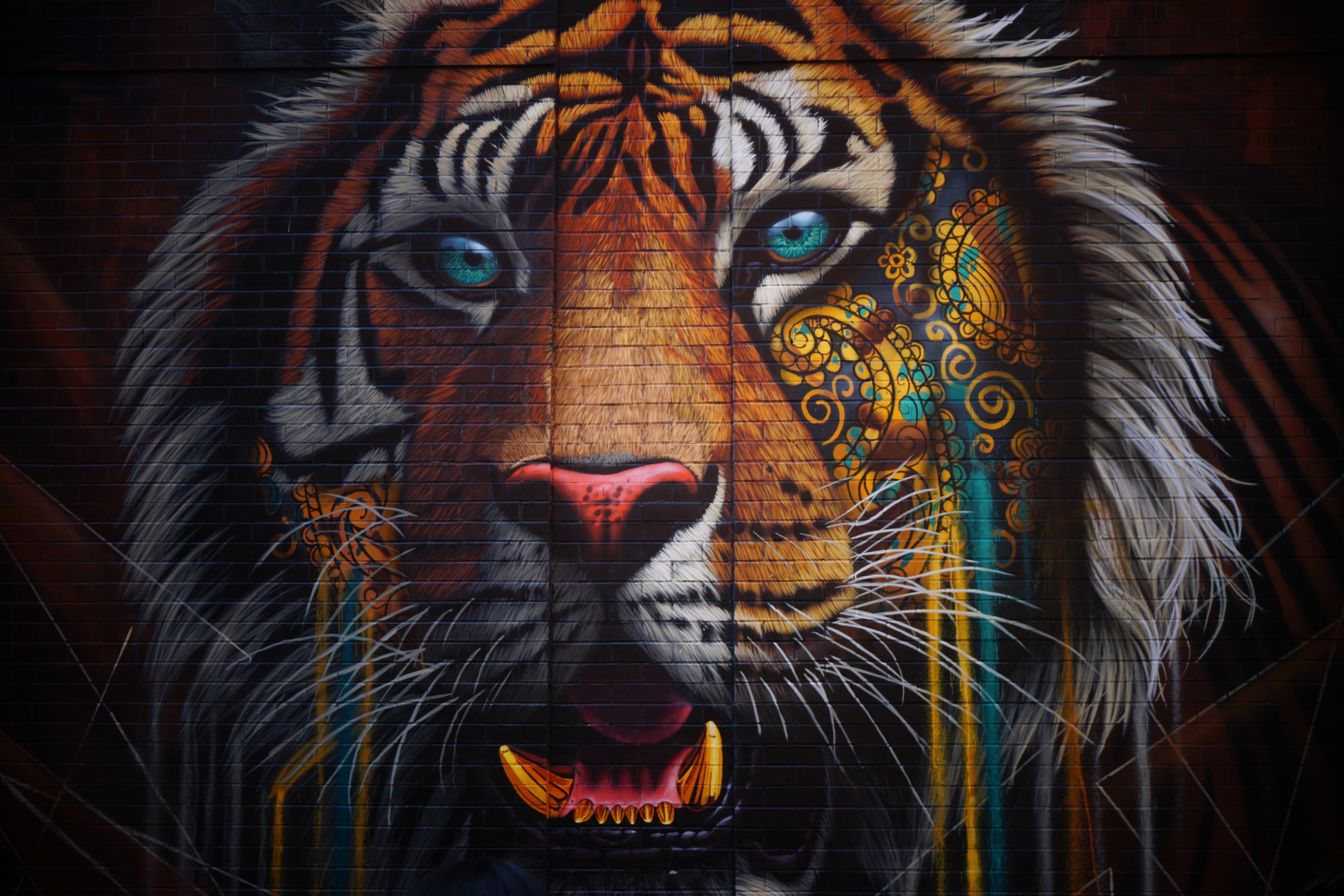 Graffiti of a tiger's head on a brick wall HD Wallpaper