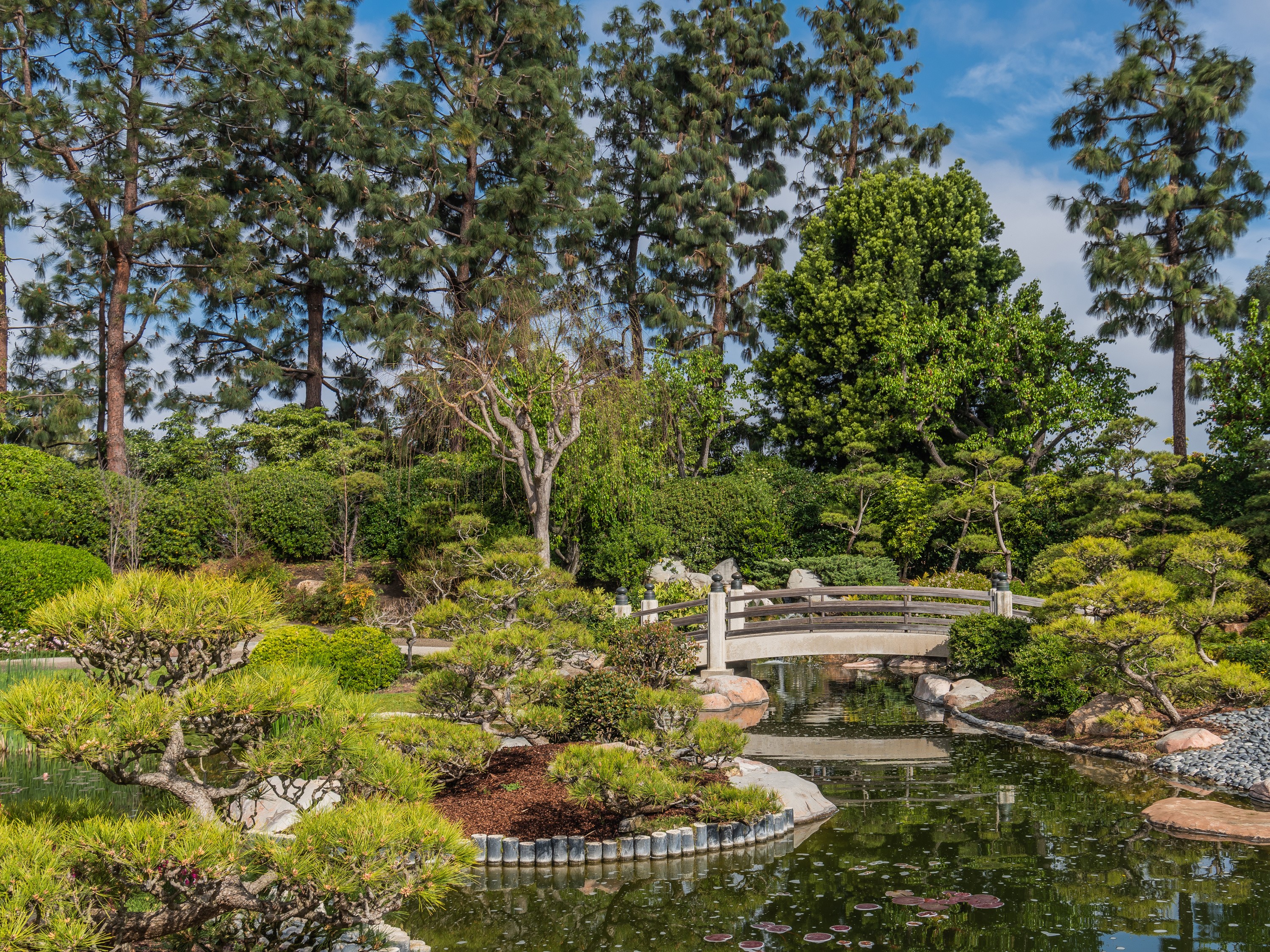 Japanese Garden with Bridge and Pond HD Wallpaper