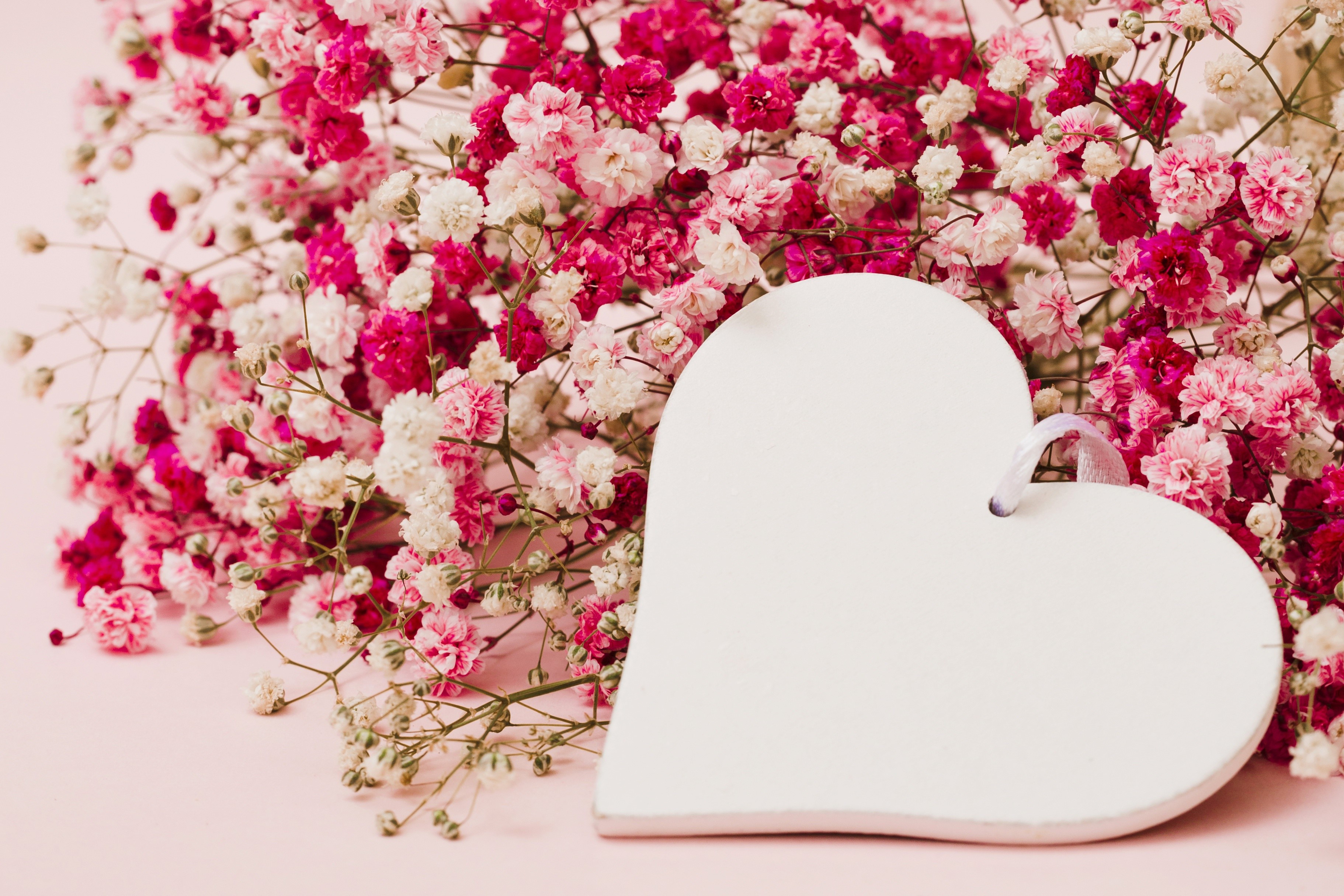 Pink and white baby's breath flowers with a heart HD Wallpaper