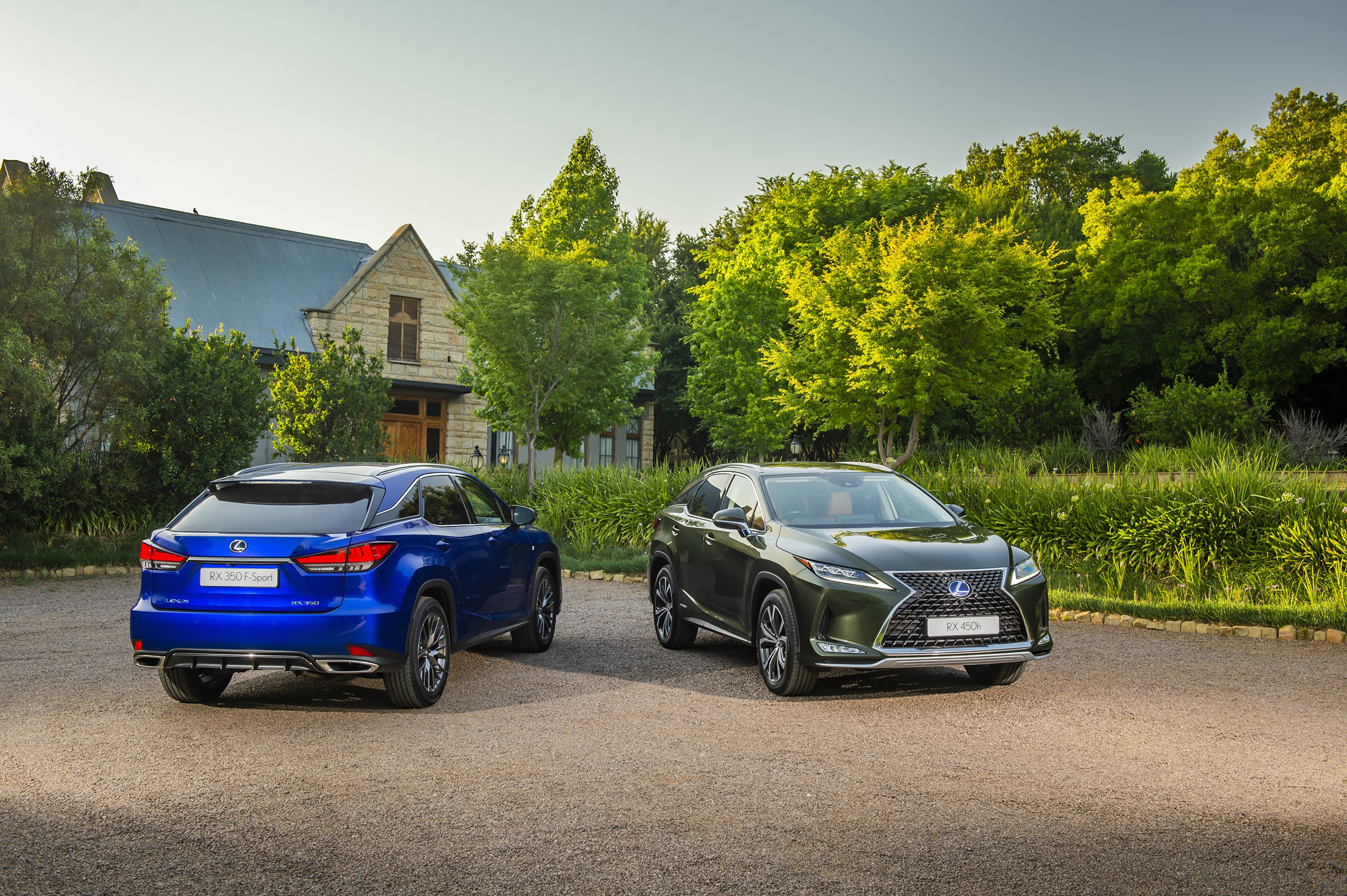 Two Lexus RX 350 F Sport cars HD Wallpaper