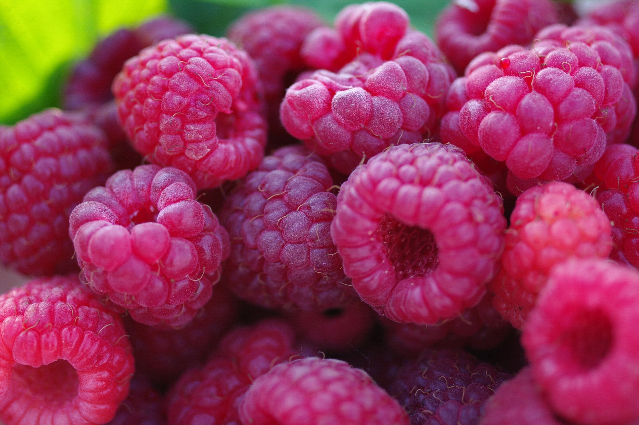 Close-up of fresh raspberries HD Wallpaper