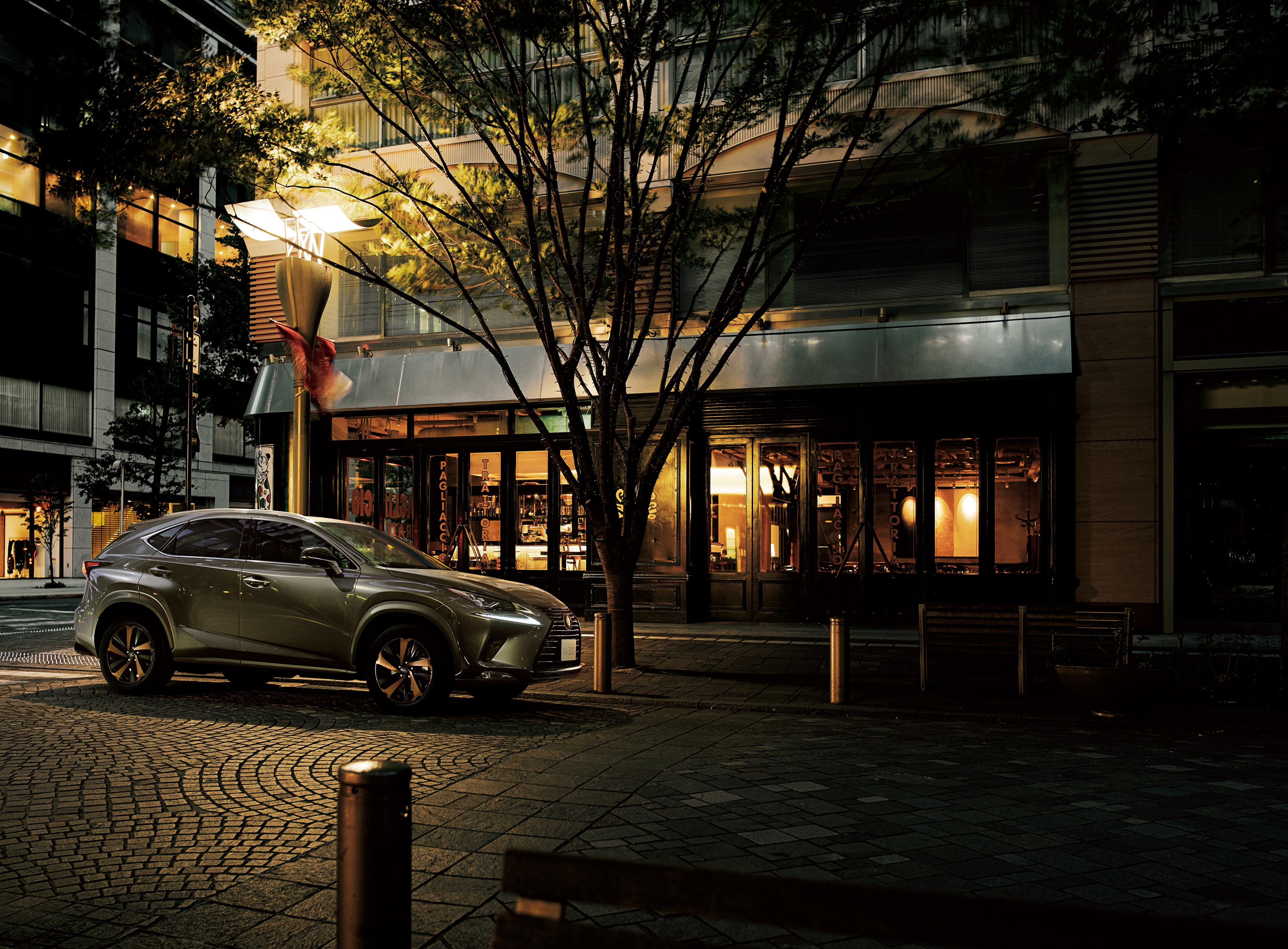Lexus NX 300 Bronze Edition parked at night HD Wallpaper