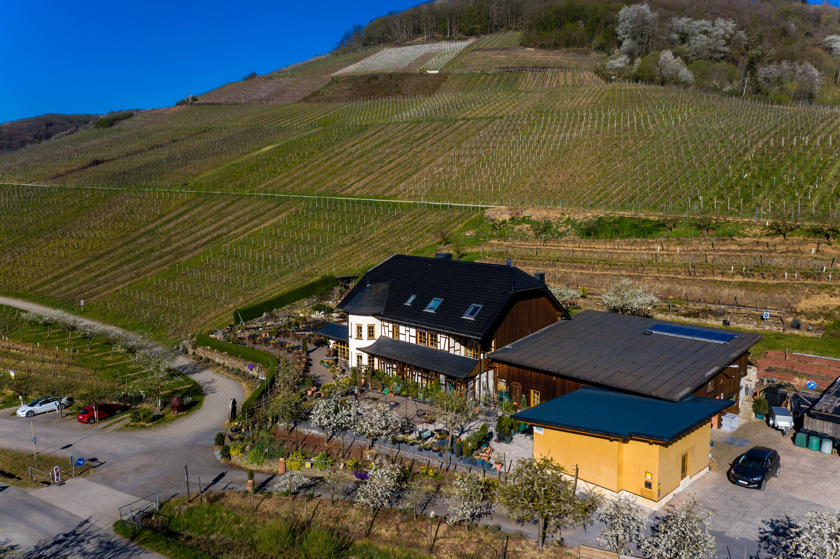 Vineyard estate with houses and fields in Mayschoss, Germany HD Wallpaper