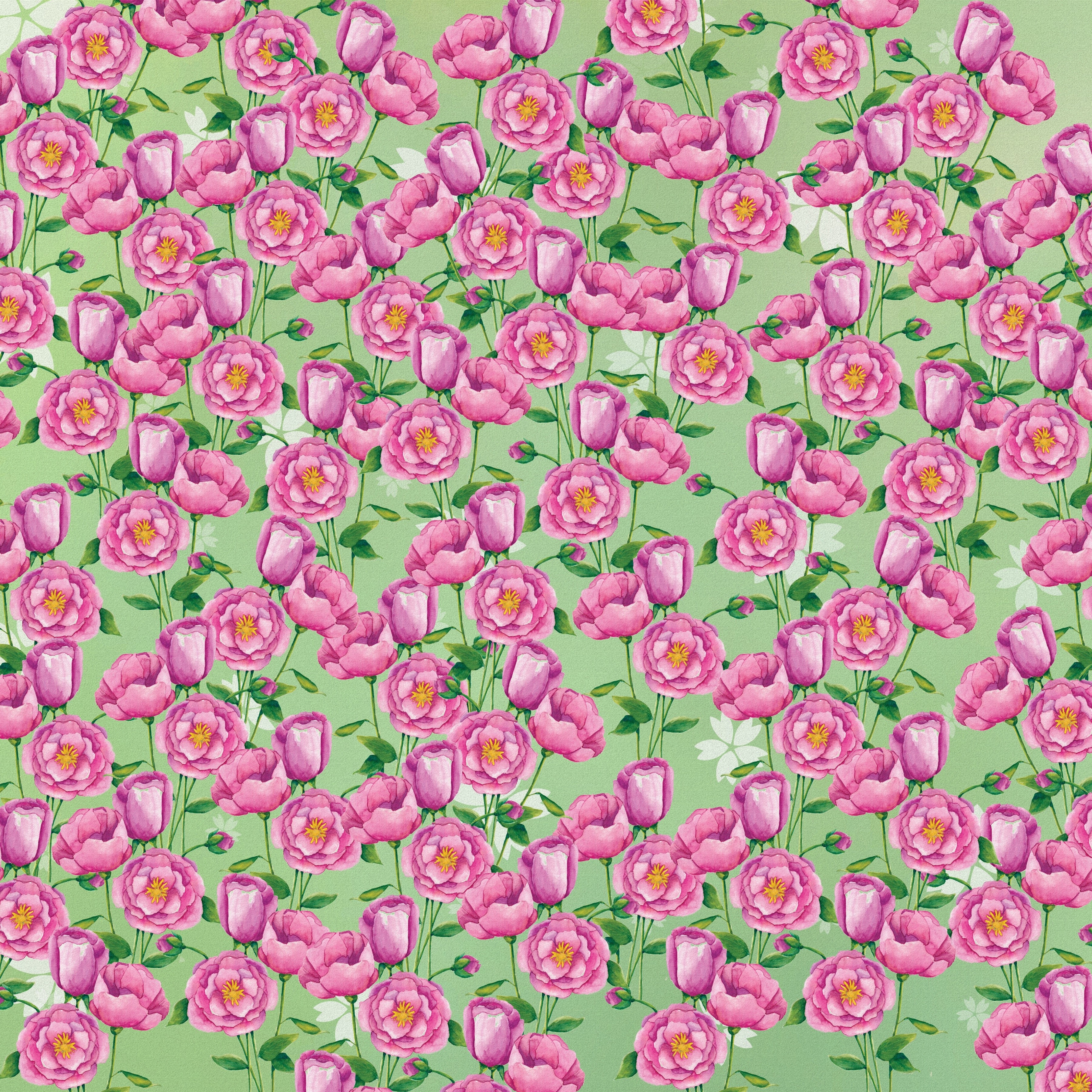 Pink Peony Flowers on a Green Gradient Background HD Wallpaper