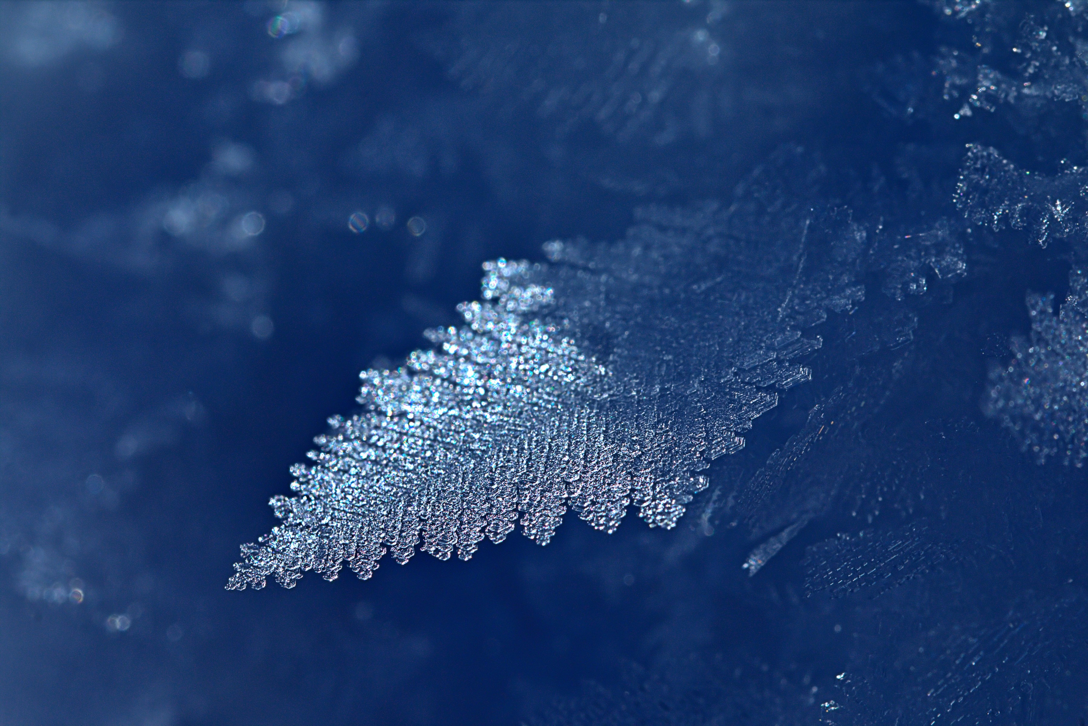 Closeup of frost crystals on a blue background HD Wallpaper