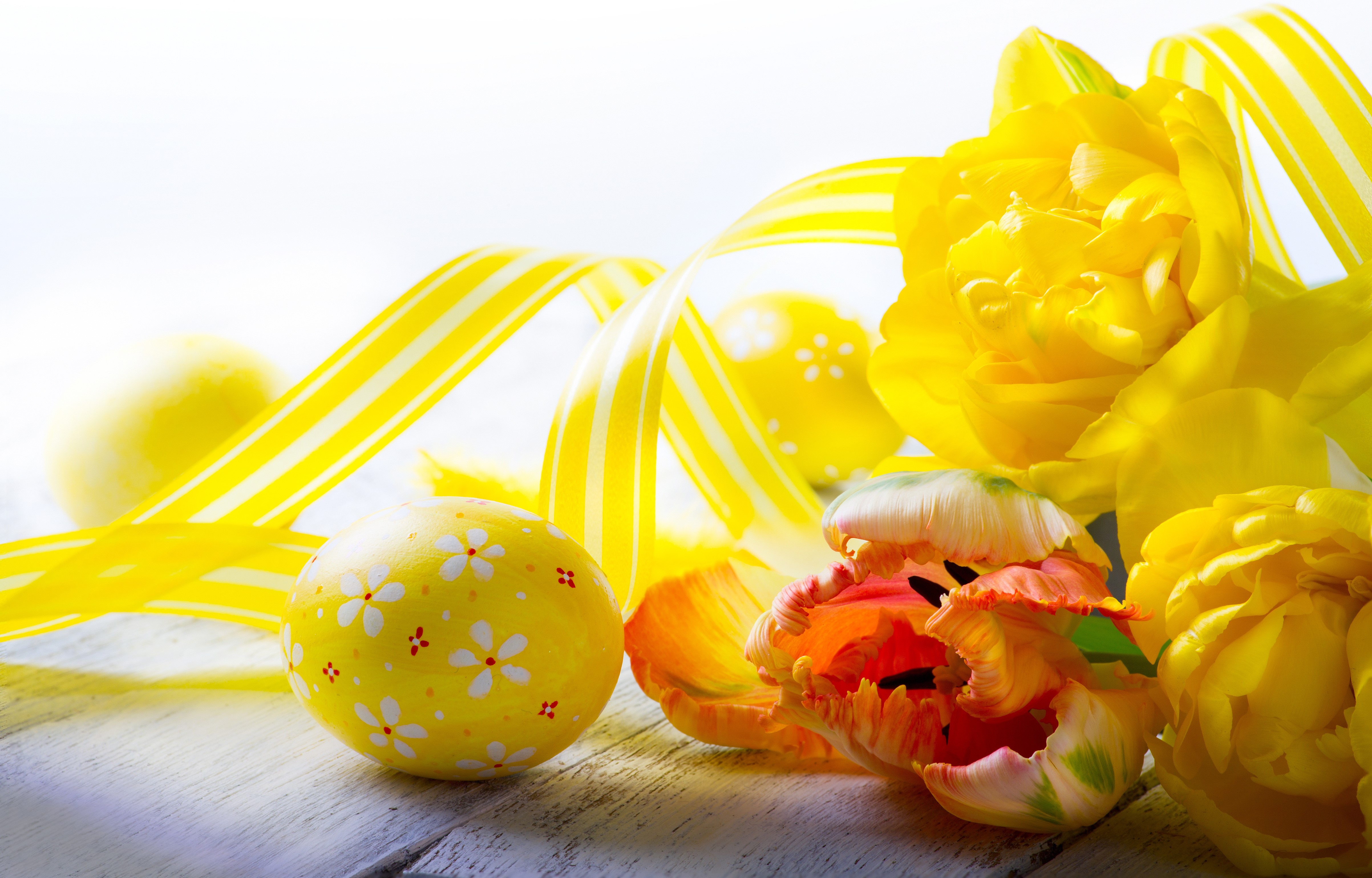 Easter Tulips and Ribbon with Eggs HD Wallpaper