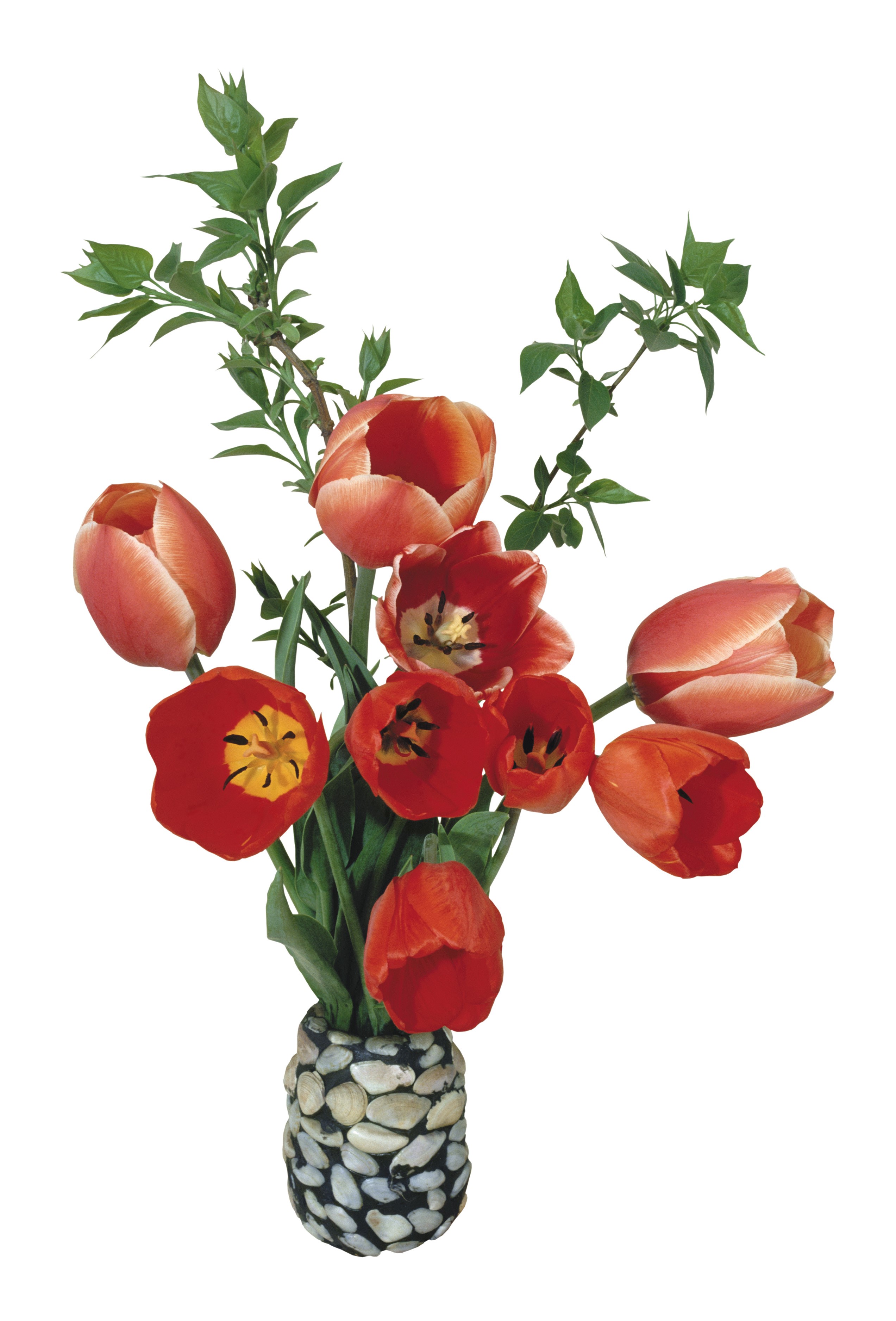 Red tulips in a stone vase HD Phone Wallpaper