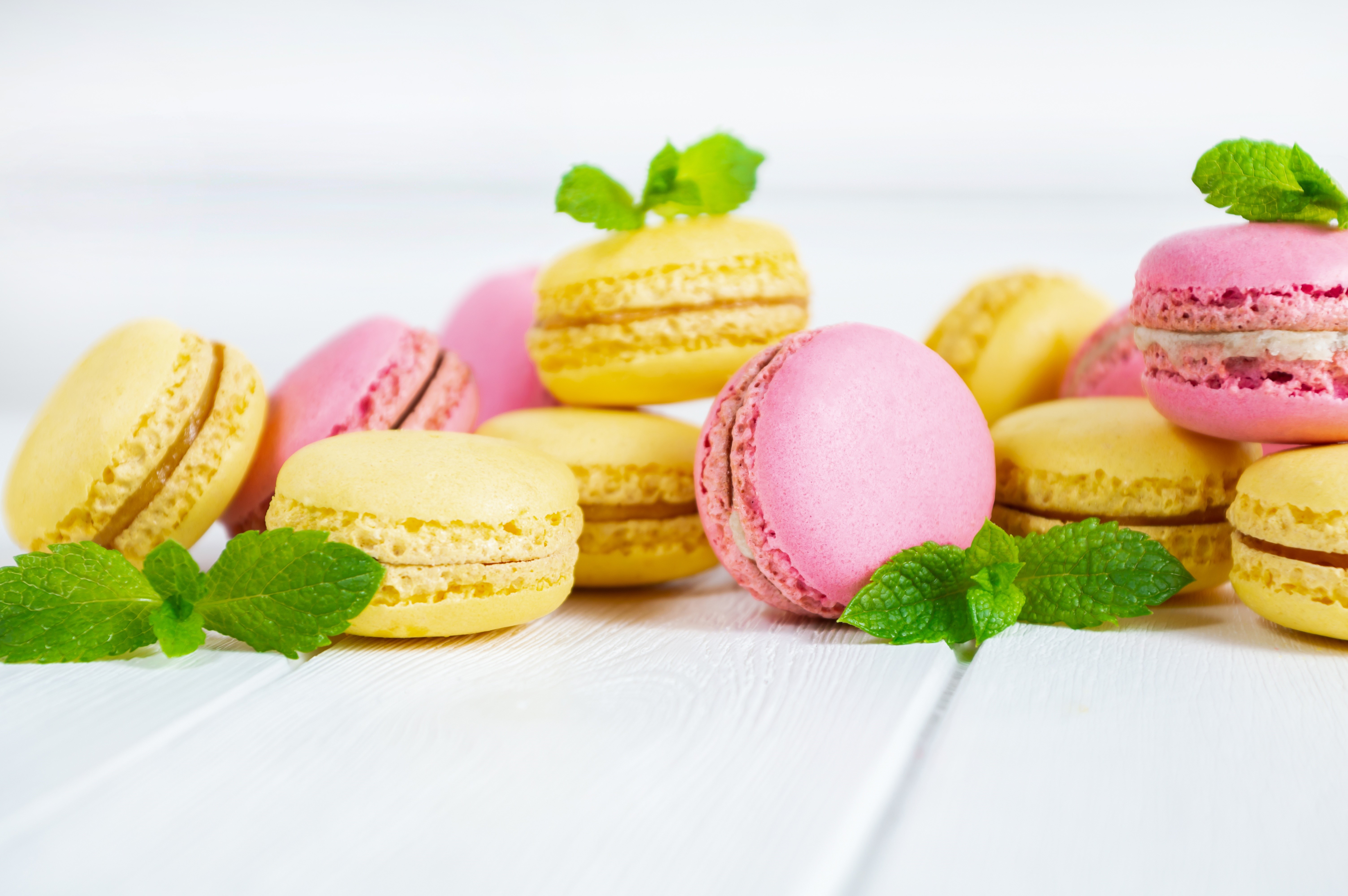 Pink and yellow macarons with mint leaves HD Wallpaper