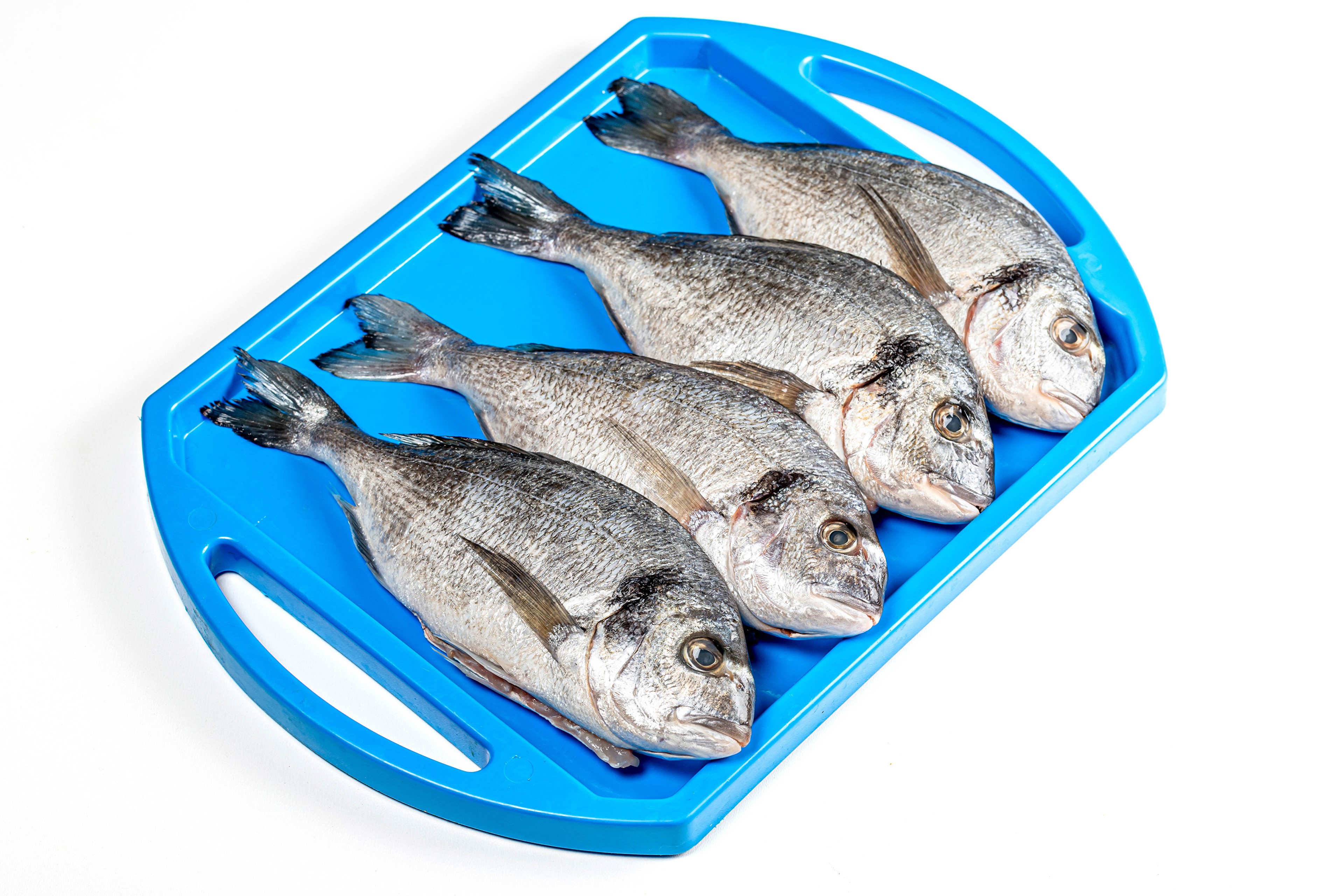 Four raw fish on a blue cutting board HD Wallpaper