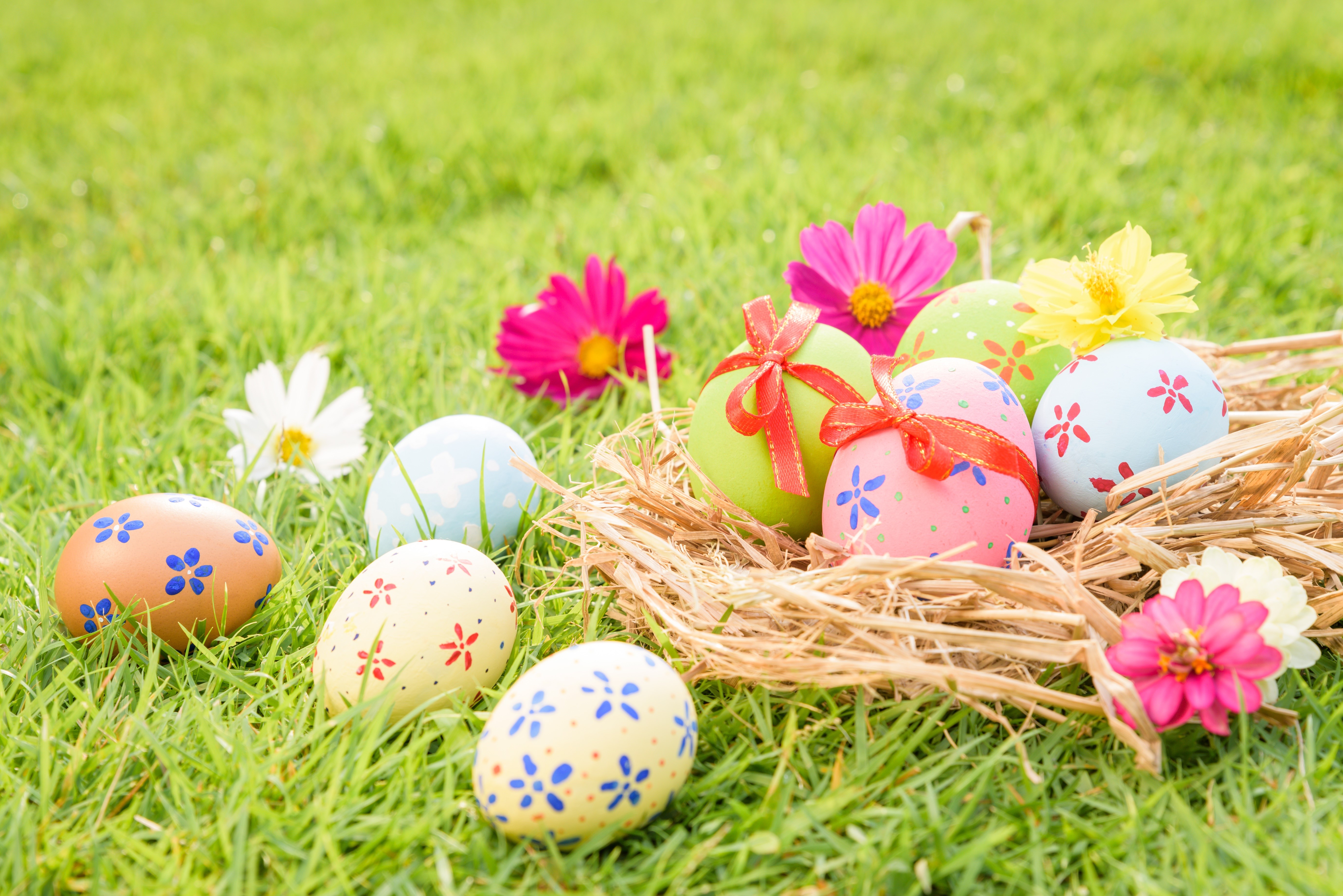 Easter Eggs in a Nest on Grass with Flowers HD Wallpaper