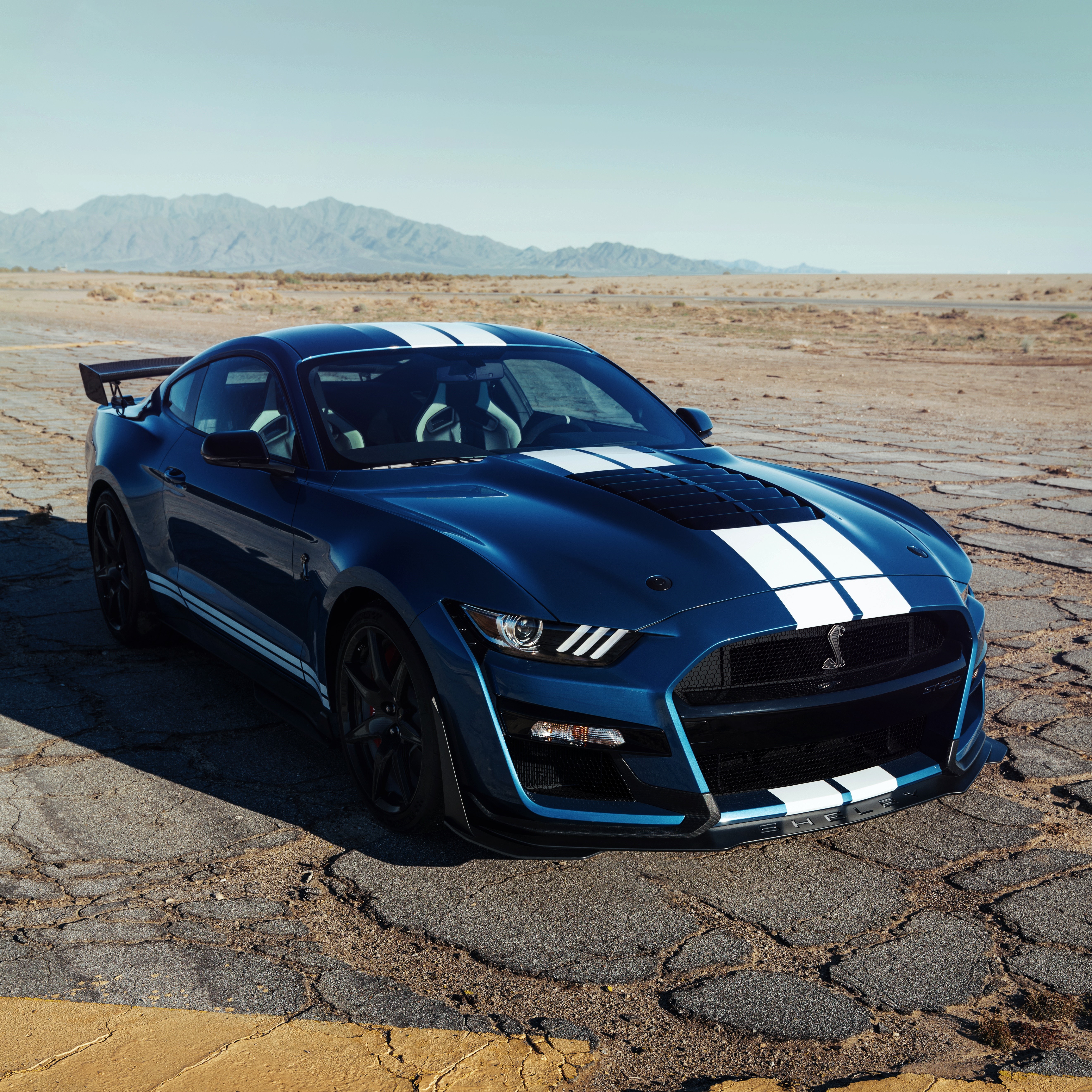 Blue Ford Mustang Shelby GT500 2019 with White Stripes HD Wallpaper
