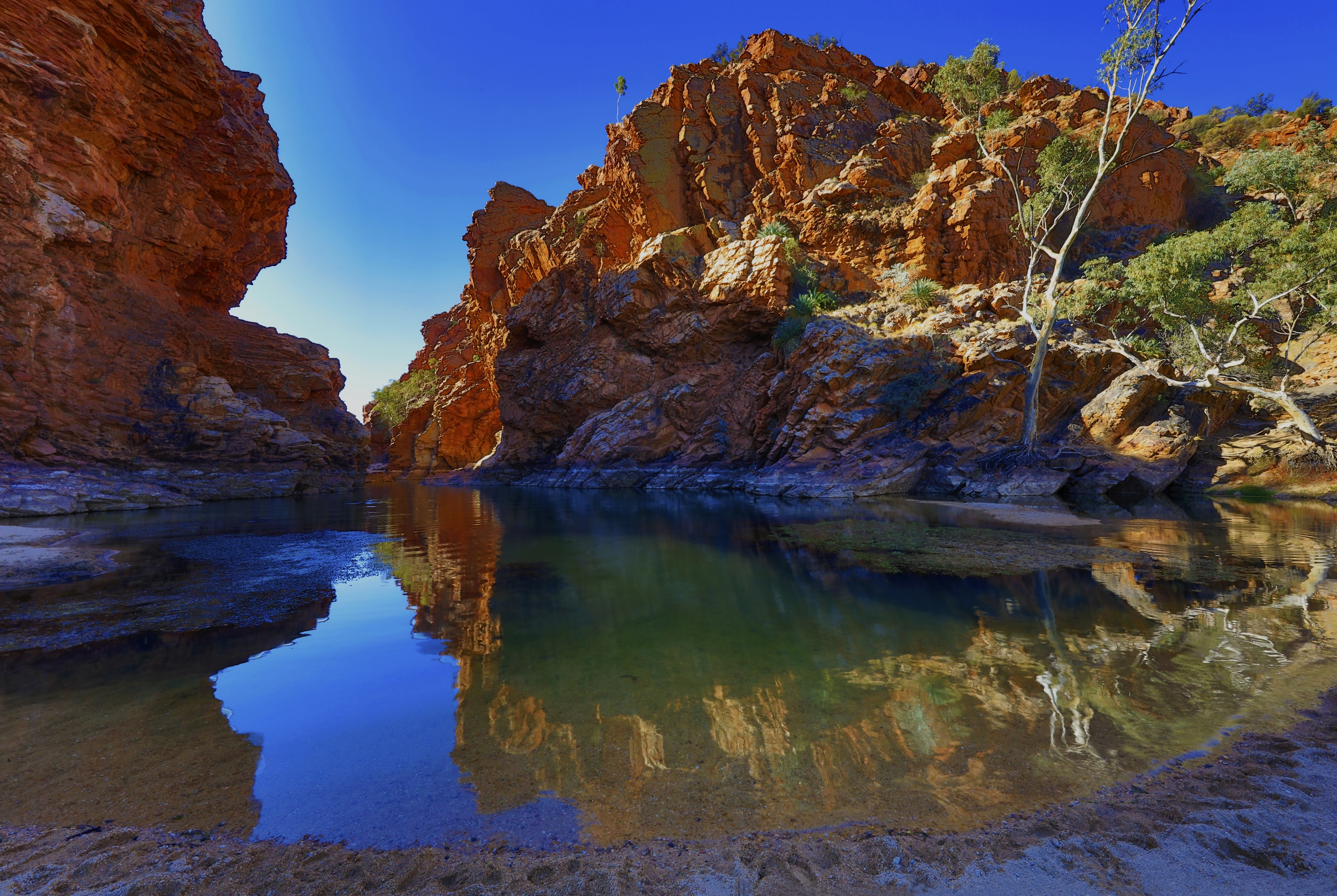 Canyon with water and red rocks in Northern Territory, Australia HD Wallpaper
