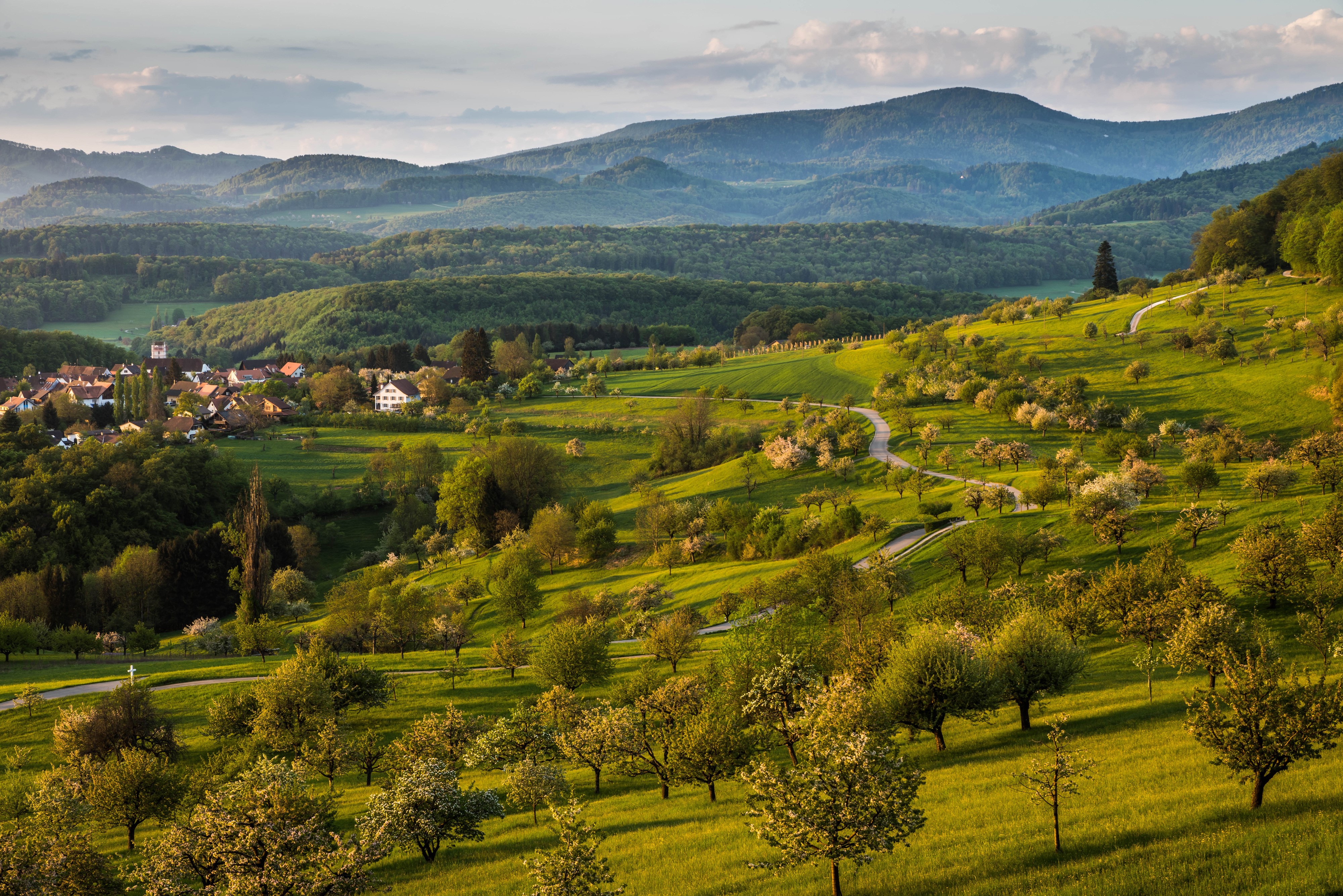 4K Scenery of Mountains and Trees in Spring HD Wallpaper